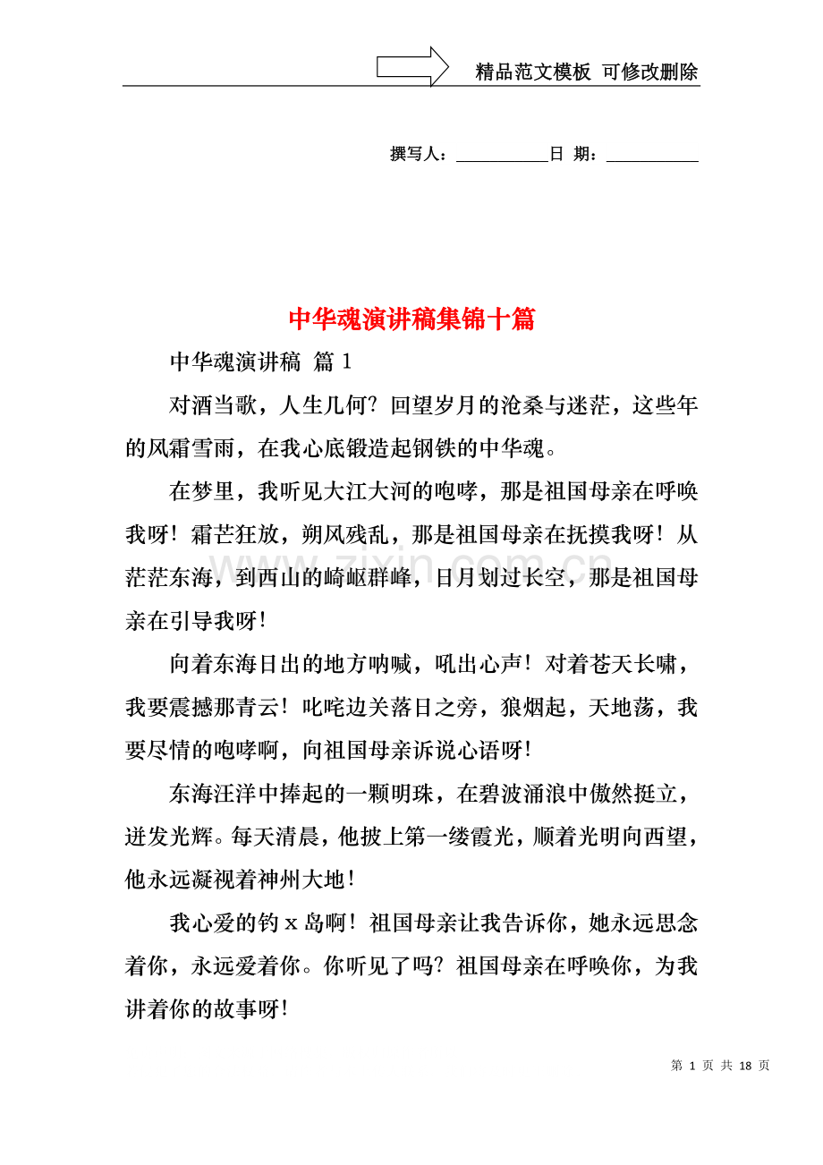 中华魂演讲稿集锦十篇.docx_第1页