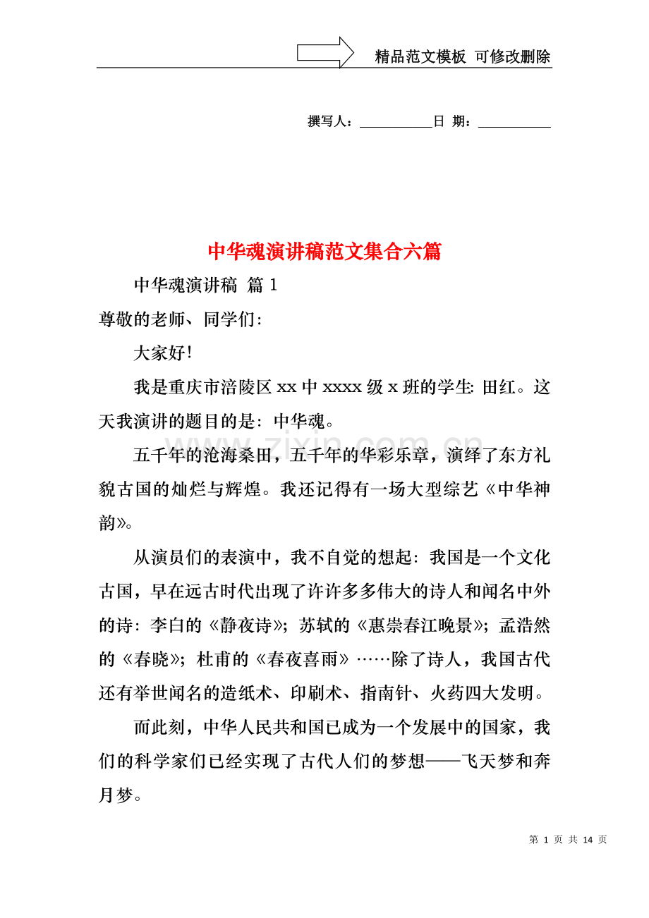 中华魂演讲稿范文集合六篇.docx_第1页