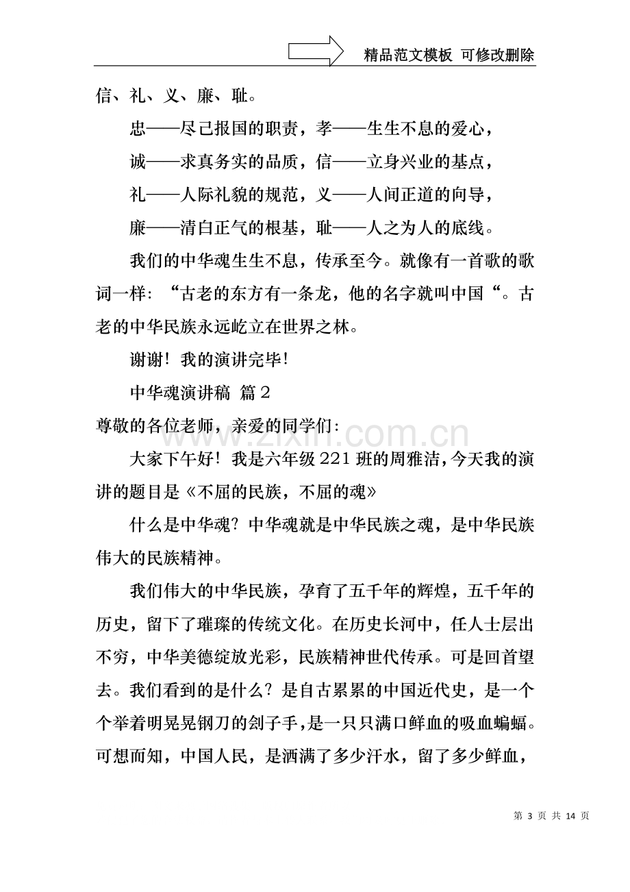 中华魂演讲稿范文集合六篇.docx_第3页