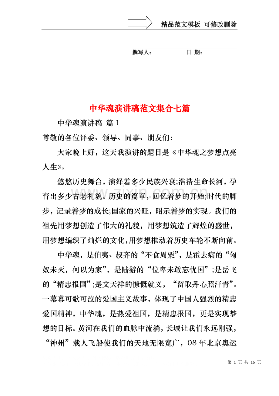 中华魂演讲稿范文集合七篇.docx_第1页