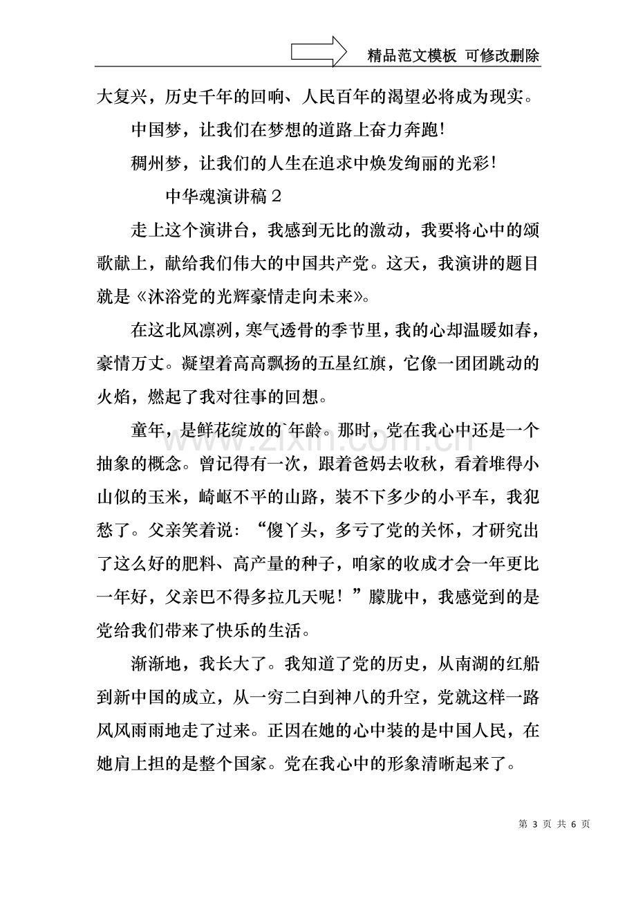 中华魂演讲稿（通用3篇）.docx_第3页