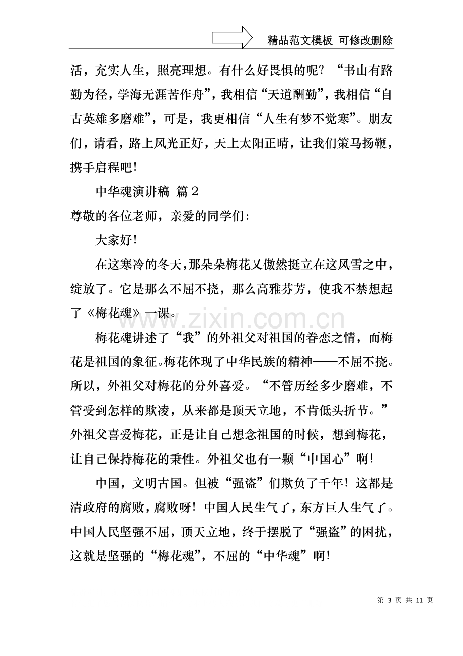 中华魂演讲稿合集六篇.docx_第3页