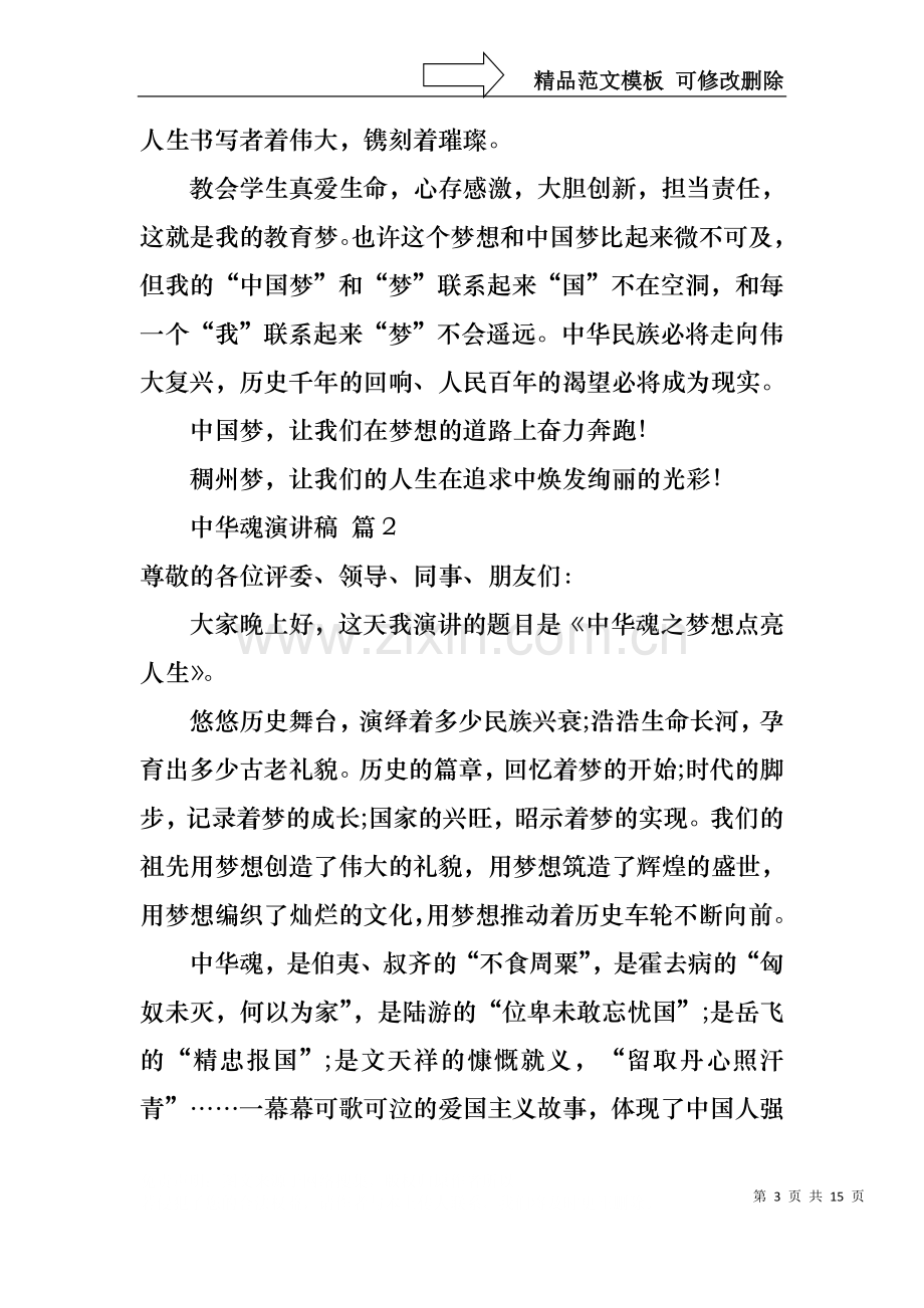 中华魂演讲稿模板七篇.docx_第3页