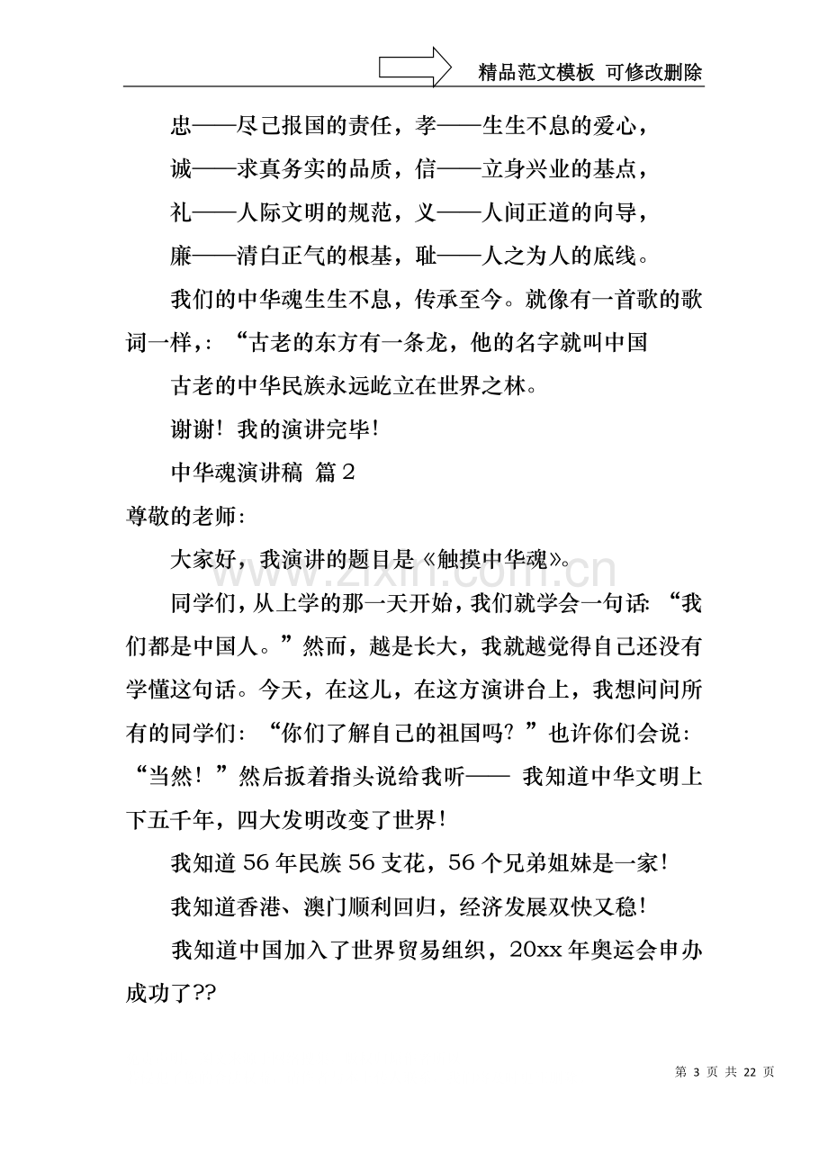 中华魂演讲稿锦集十篇2.docx_第3页