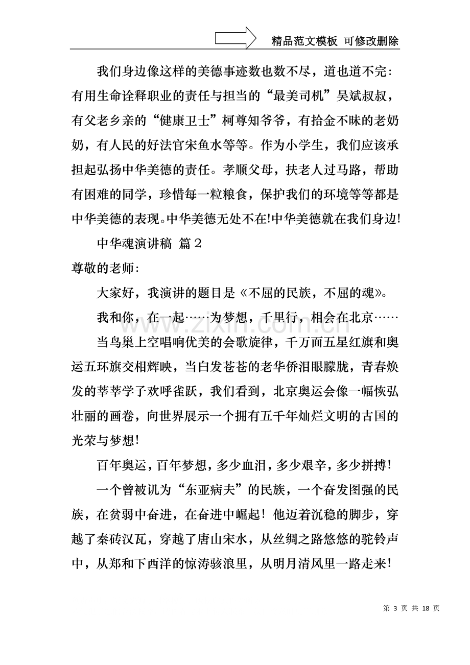 中华魂演讲稿汇编八篇2.docx_第3页