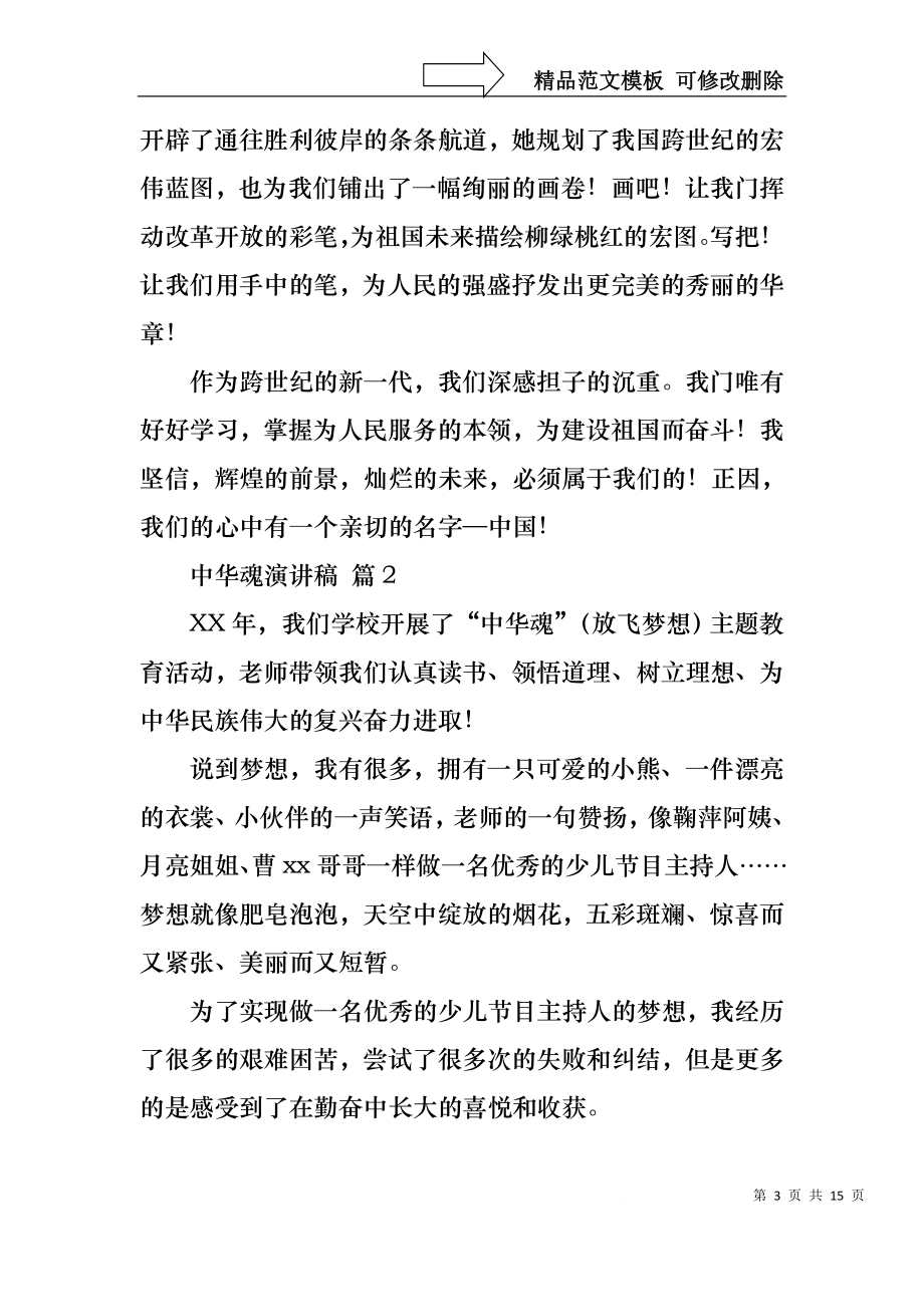 中华魂演讲稿范文锦集七篇1.docx_第3页