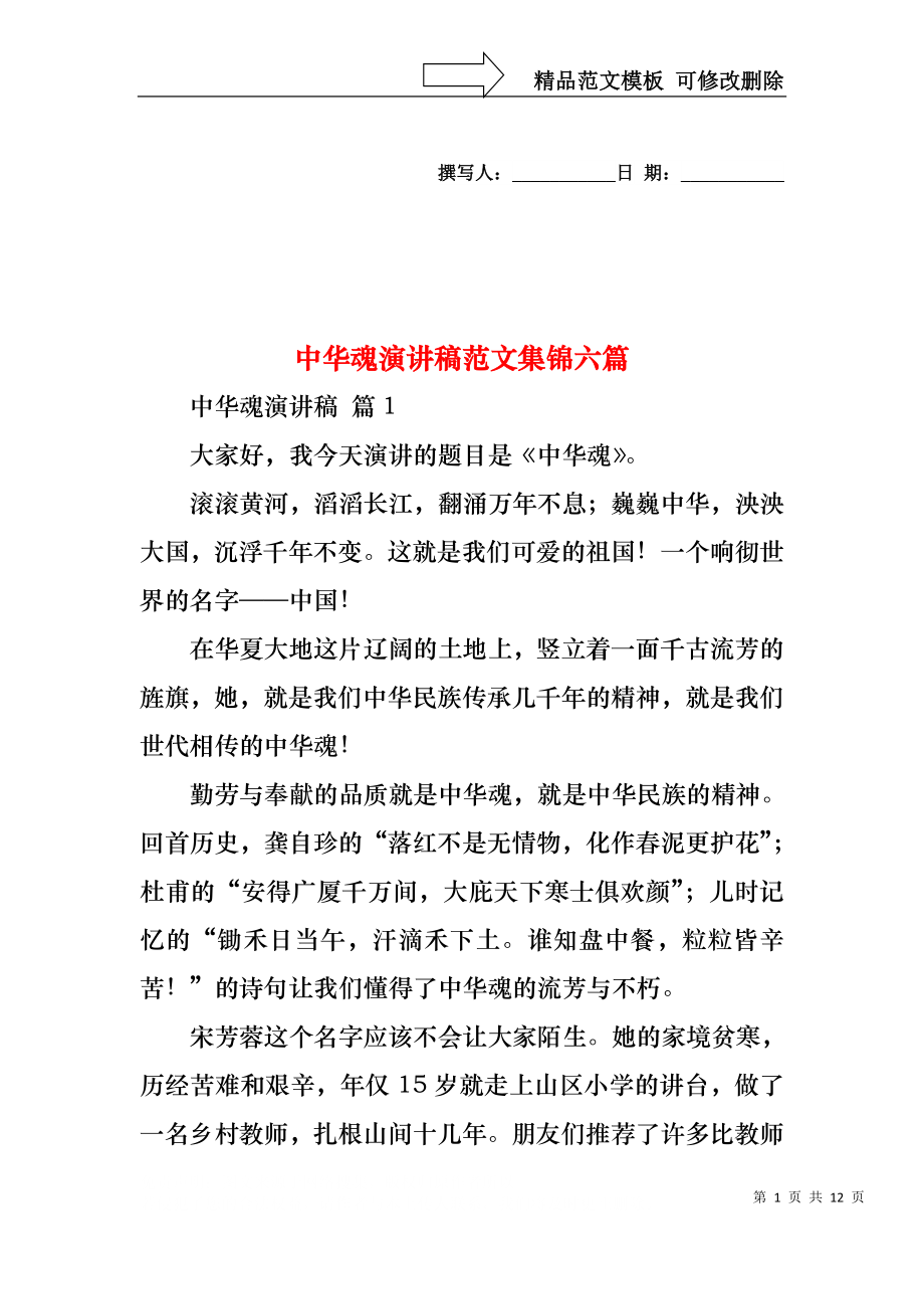 中华魂演讲稿范文集锦六篇1.docx_第1页