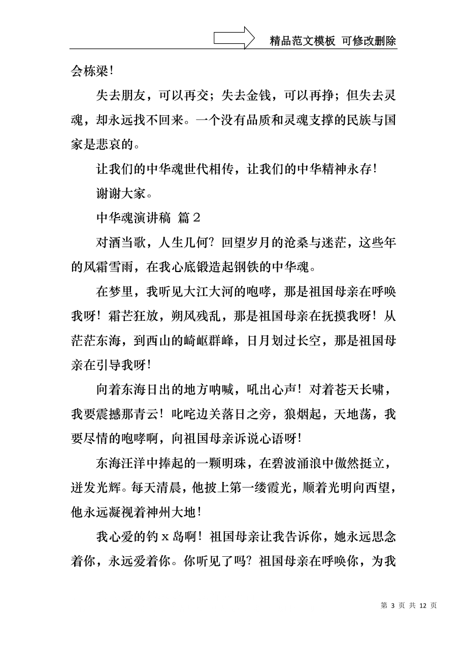 中华魂演讲稿范文集锦六篇1.docx_第3页