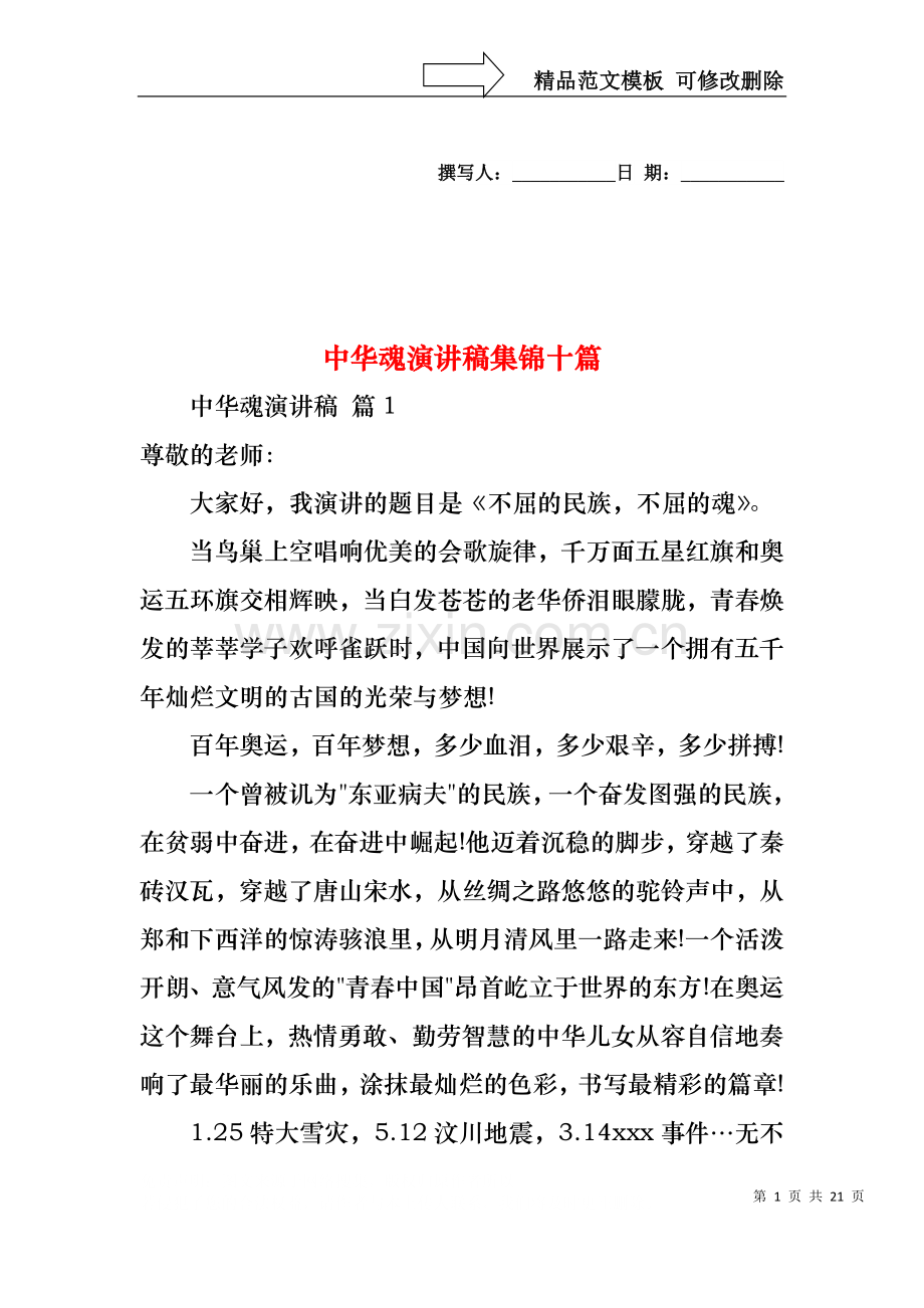 中华魂演讲稿集锦十篇2.docx_第1页