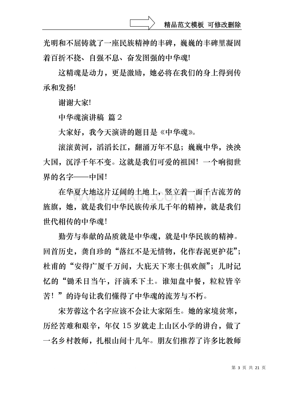 中华魂演讲稿集锦十篇2.docx_第3页