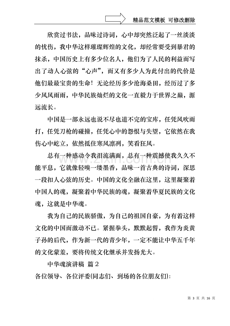 中华魂演讲稿合集七篇.docx_第3页