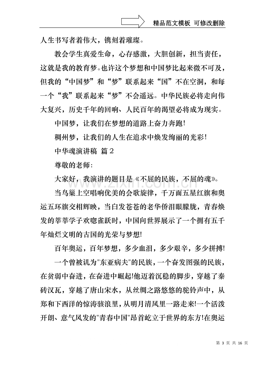 中华魂演讲稿范文集合七篇1.docx_第3页