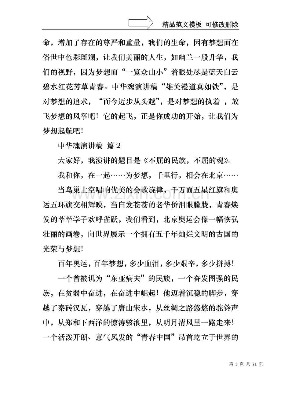 中华魂演讲稿模板合集十篇1.docx_第3页