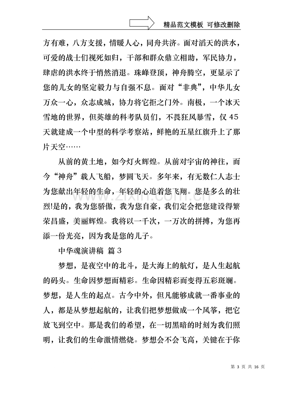 中华魂演讲稿汇编七篇.docx_第3页