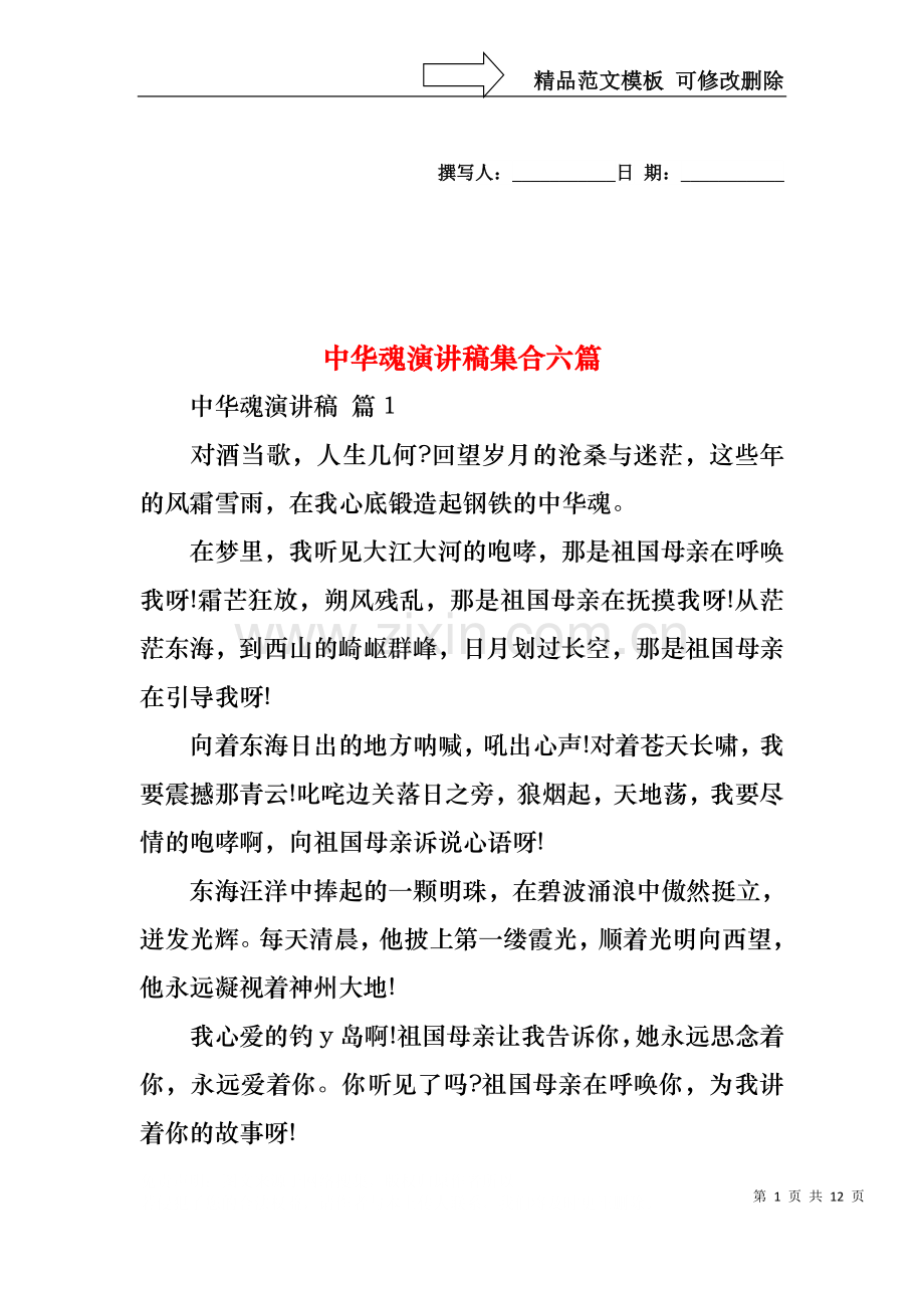 中华魂演讲稿集合六篇1.docx_第1页