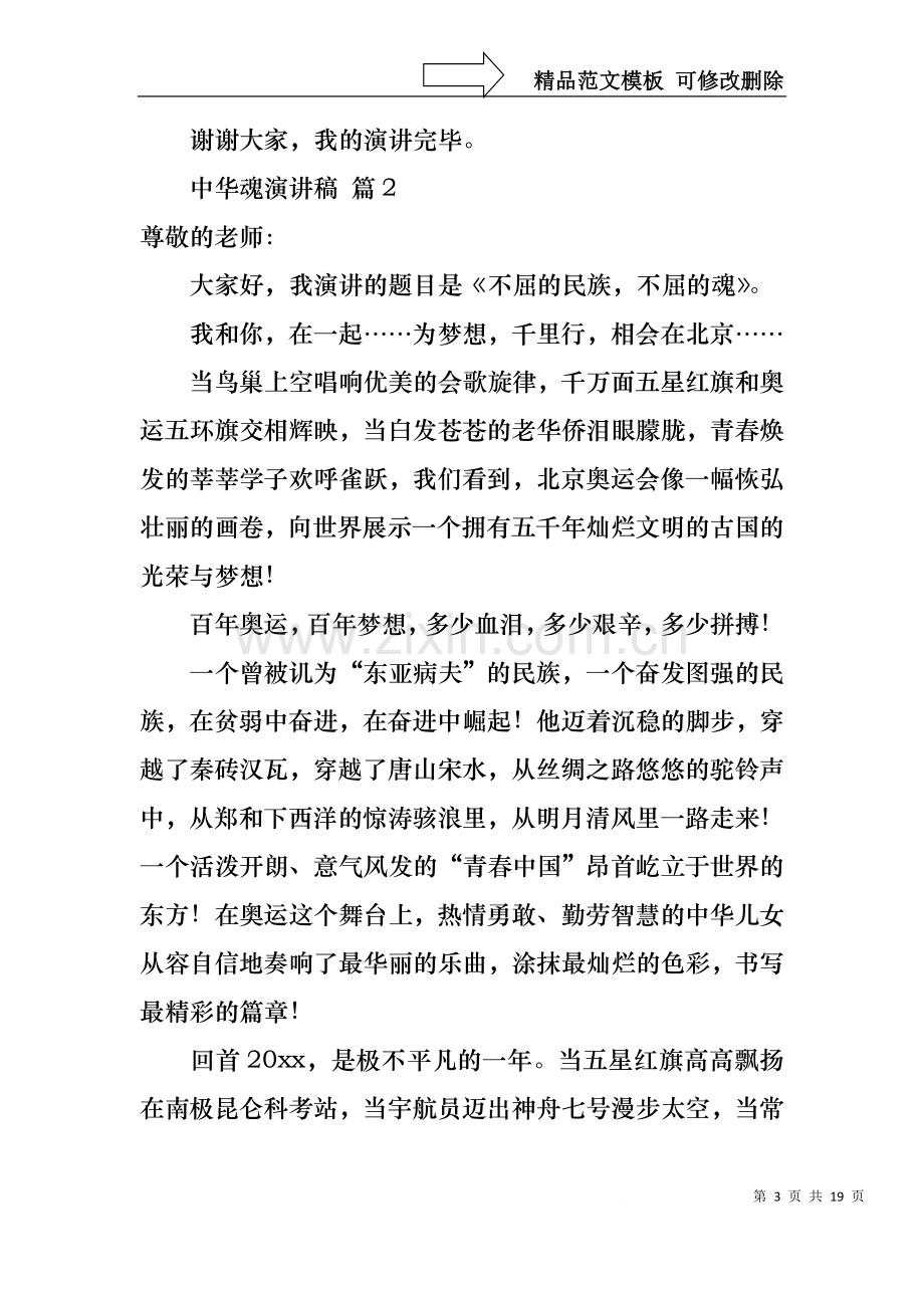 中华魂演讲稿九篇1.docx_第3页