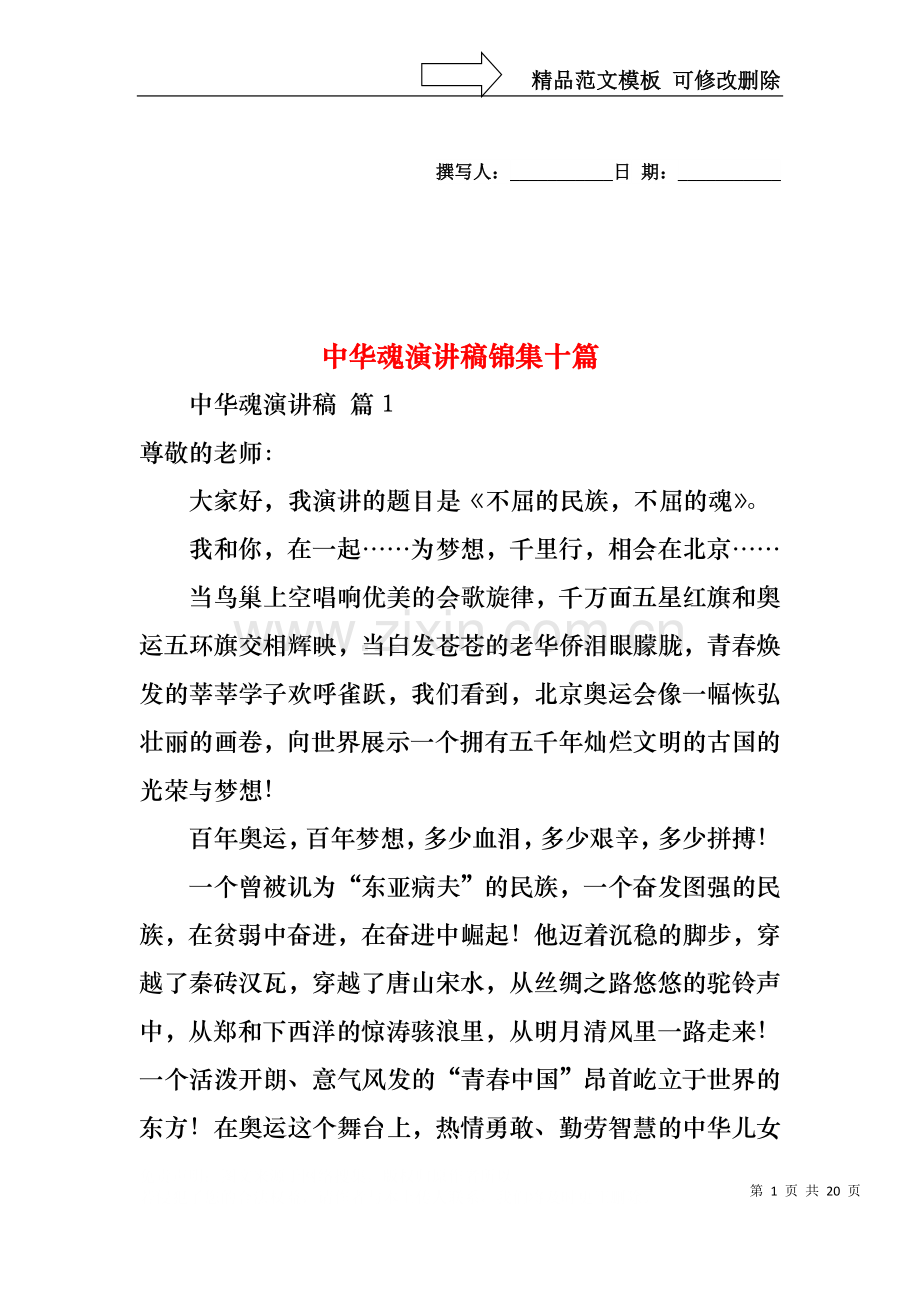 中华魂演讲稿锦集十篇.docx_第1页