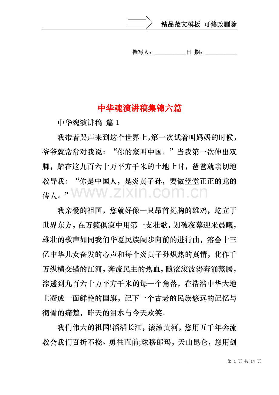 中华魂演讲稿集锦六篇.docx_第1页