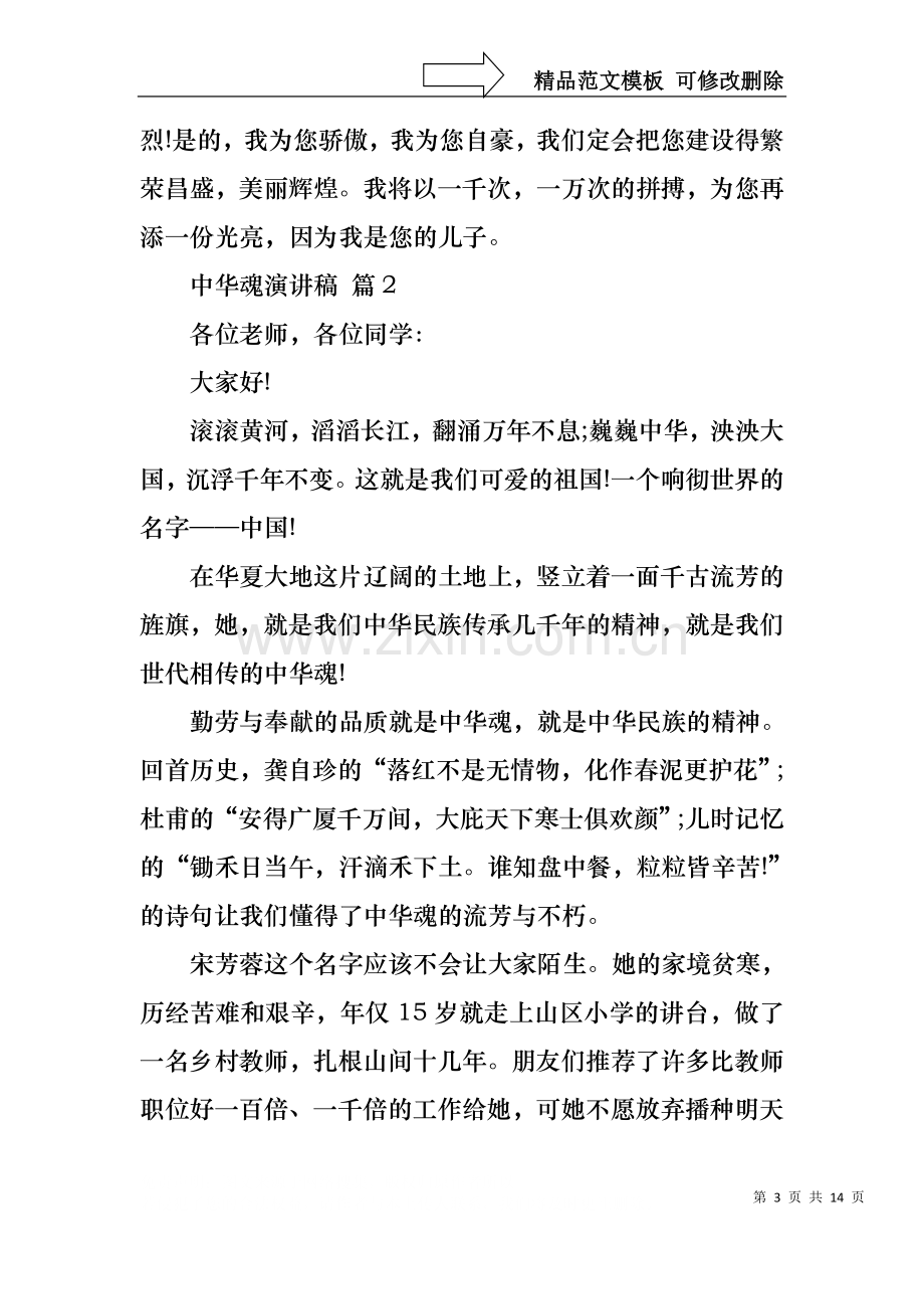 中华魂演讲稿集锦六篇.docx_第3页