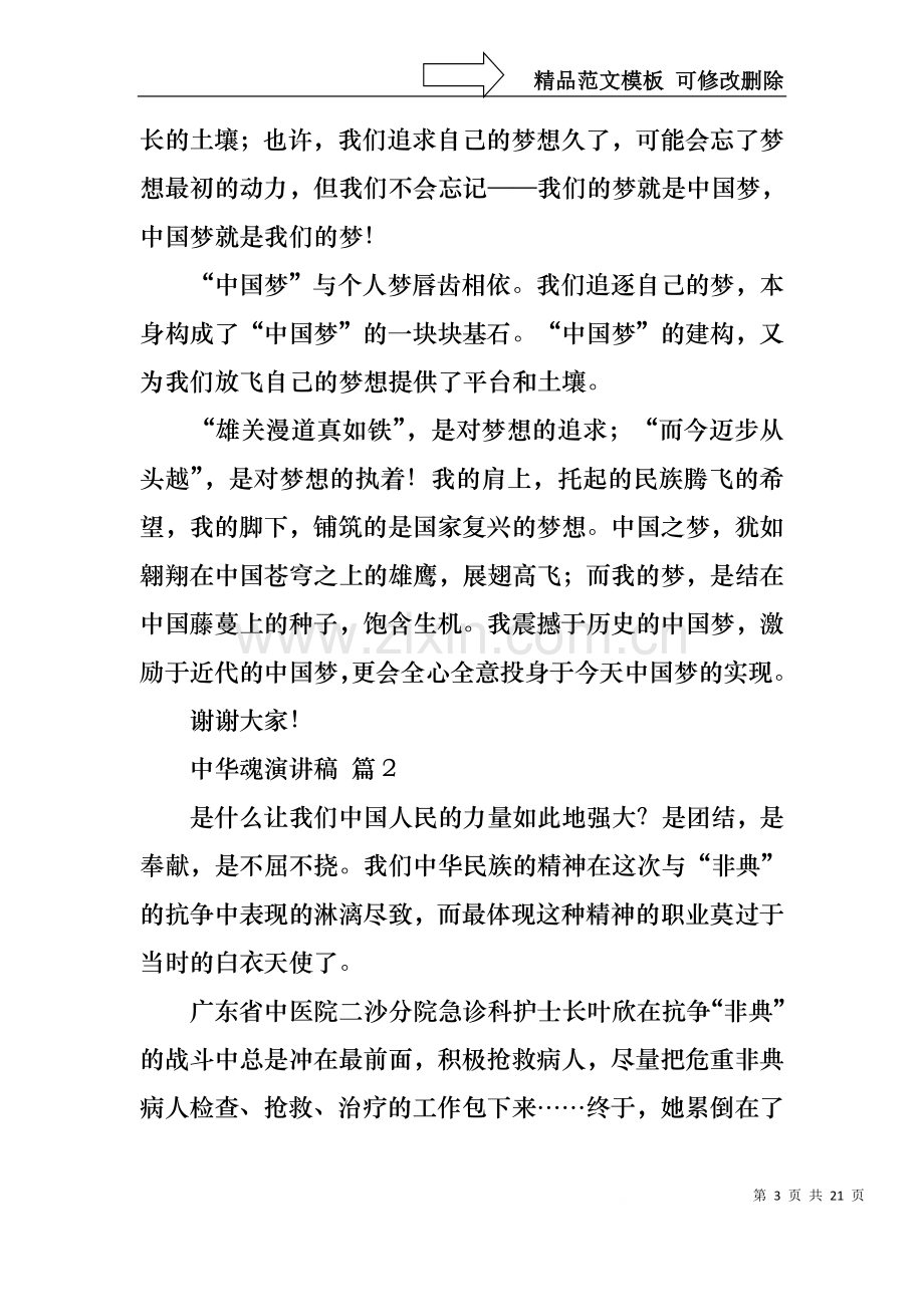 中华魂演讲稿模板汇总十篇2.docx_第3页