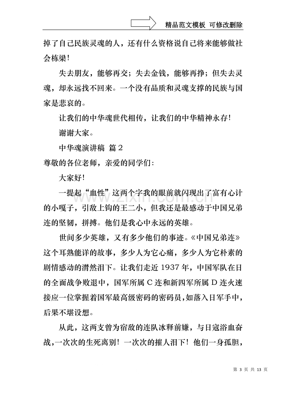 中华魂演讲稿合集七篇1.docx_第3页