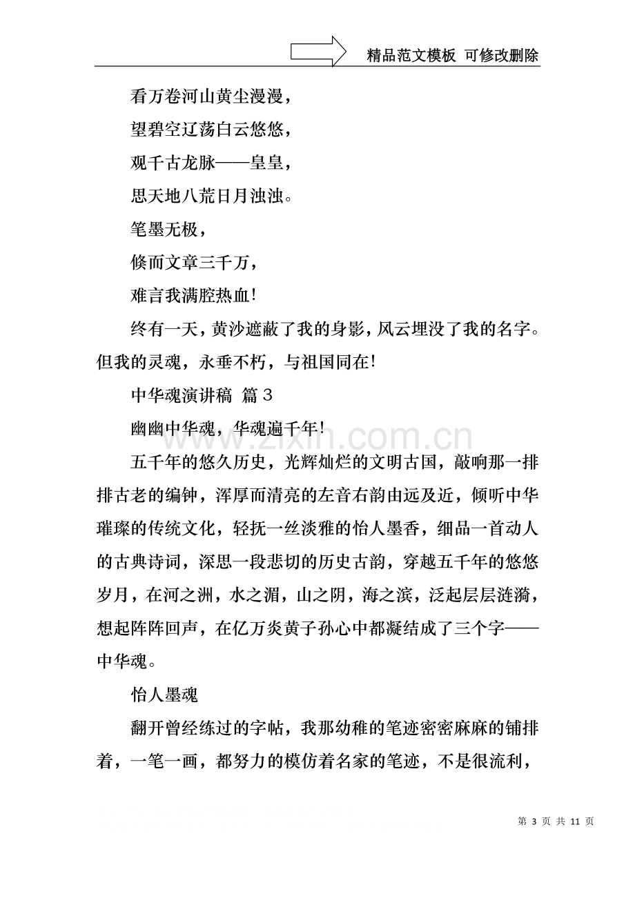 中华魂演讲稿范文锦集五篇1.docx_第3页