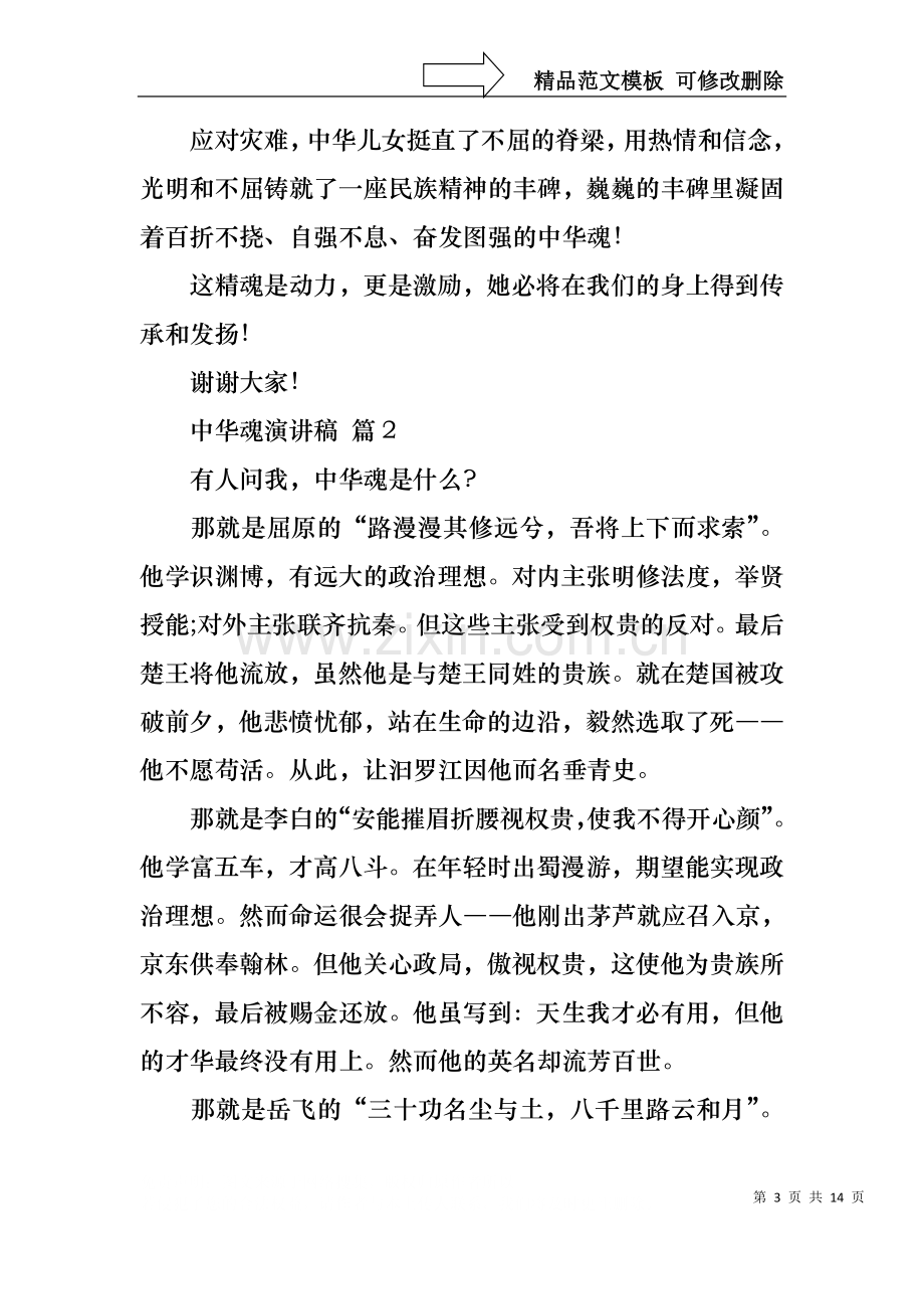 中华魂演讲稿范文集锦七篇.docx_第3页