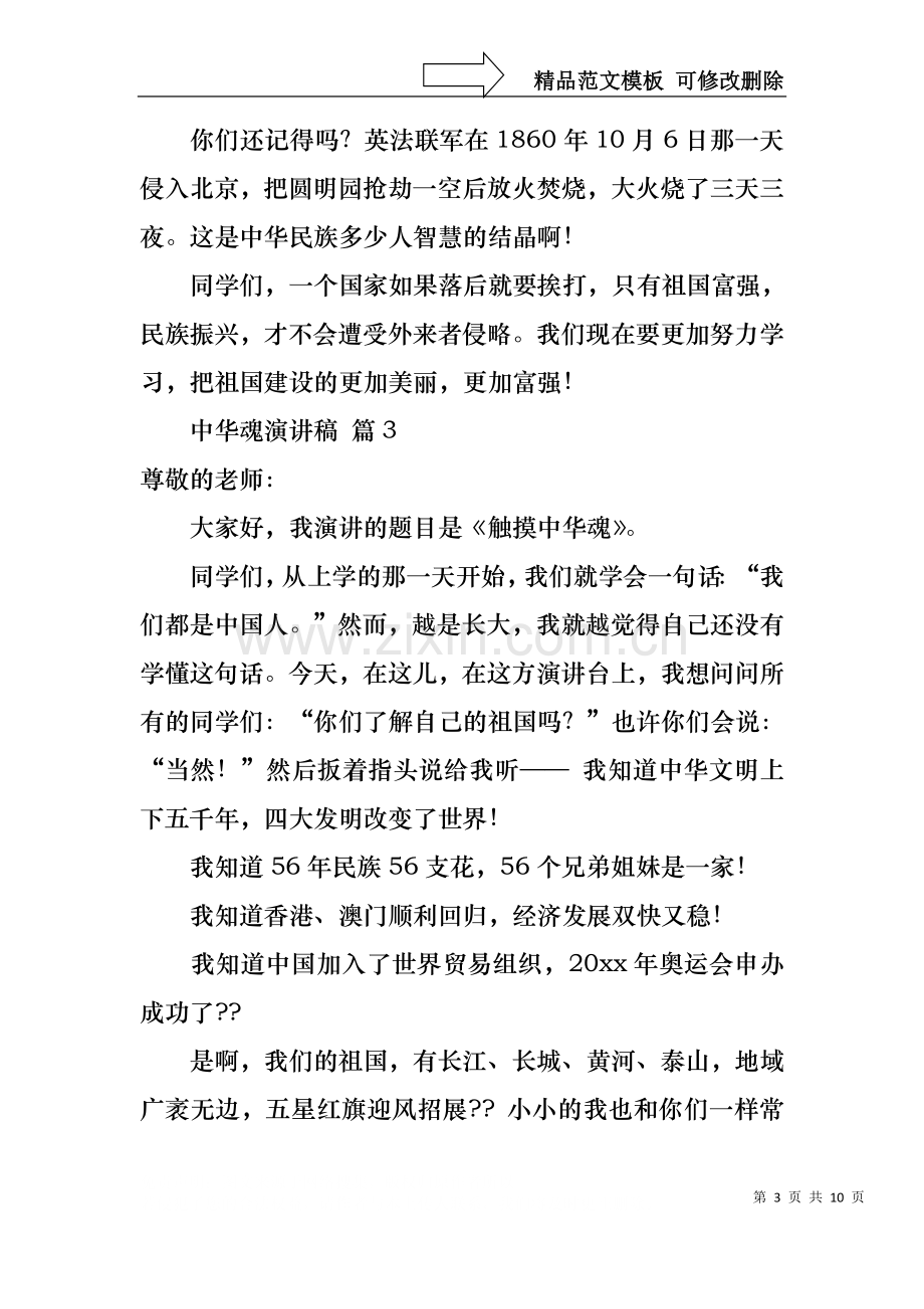 中华魂演讲稿模板汇编六篇1.docx_第3页