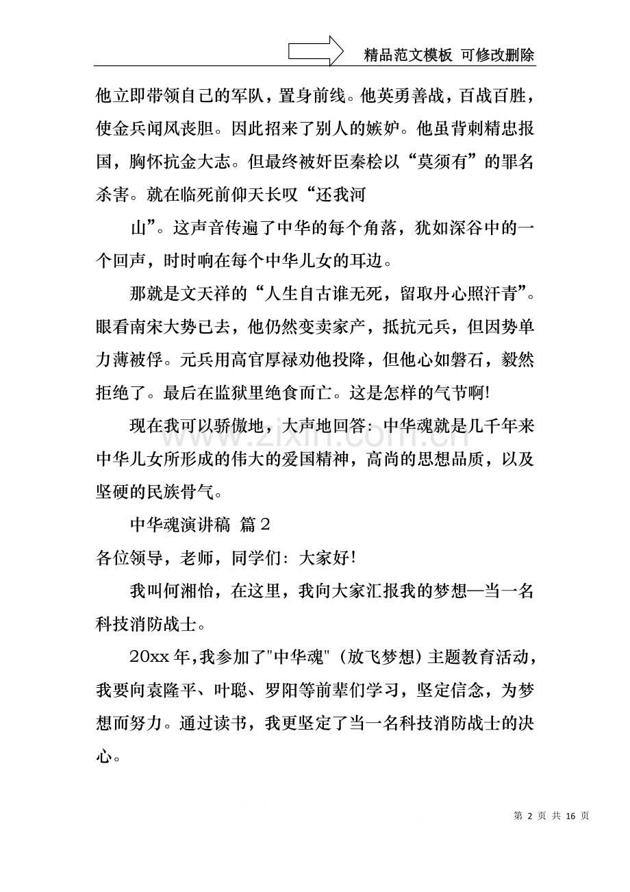 中华魂演讲稿范文合集八篇.docx_第2页