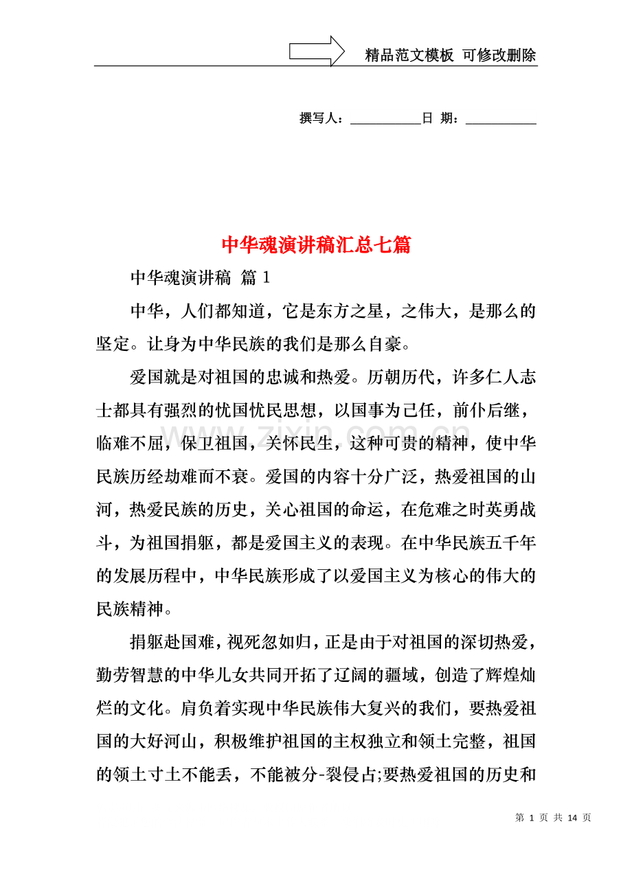 中华魂演讲稿汇总七篇1.docx_第1页