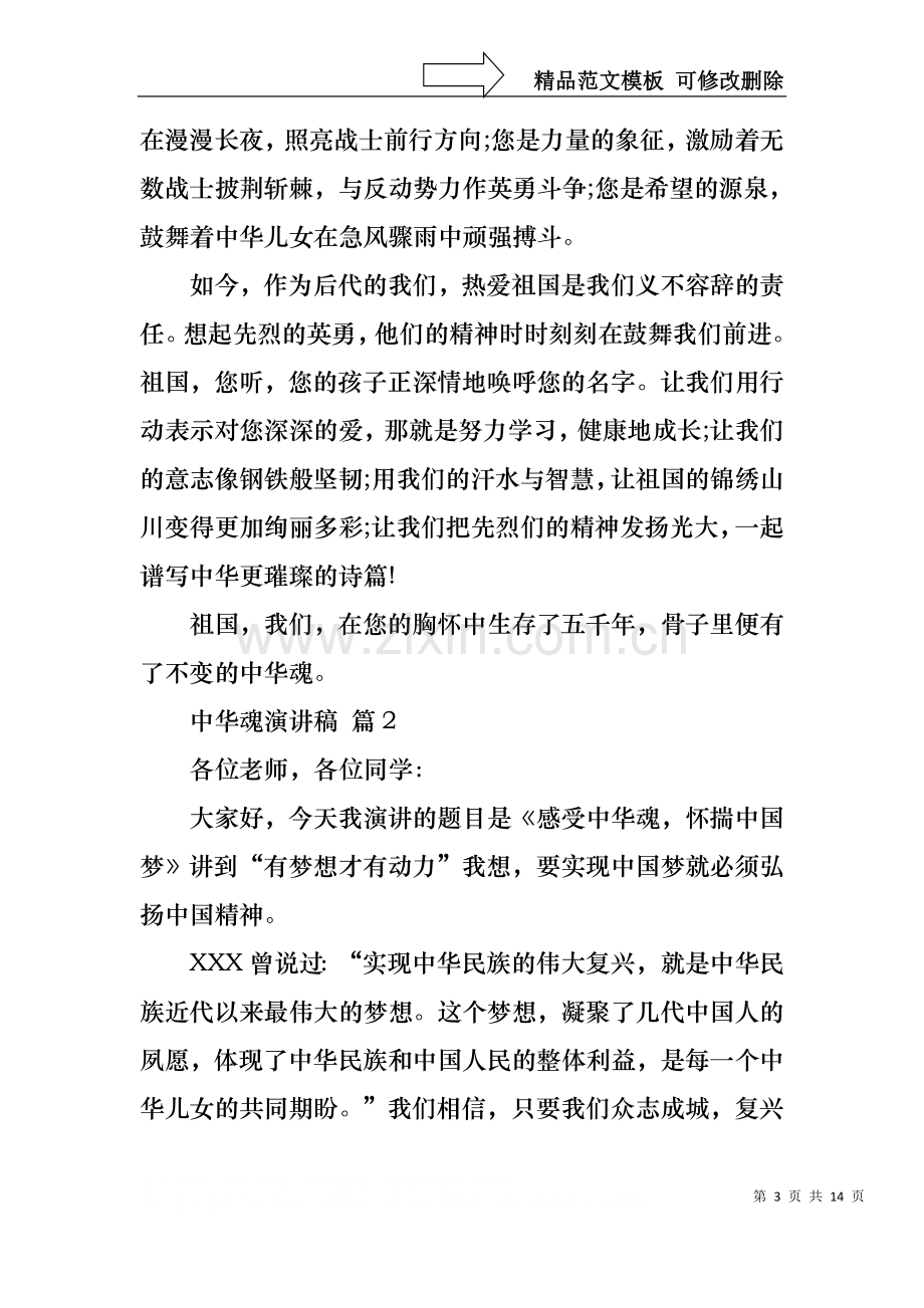 中华魂演讲稿汇总七篇1.docx_第3页