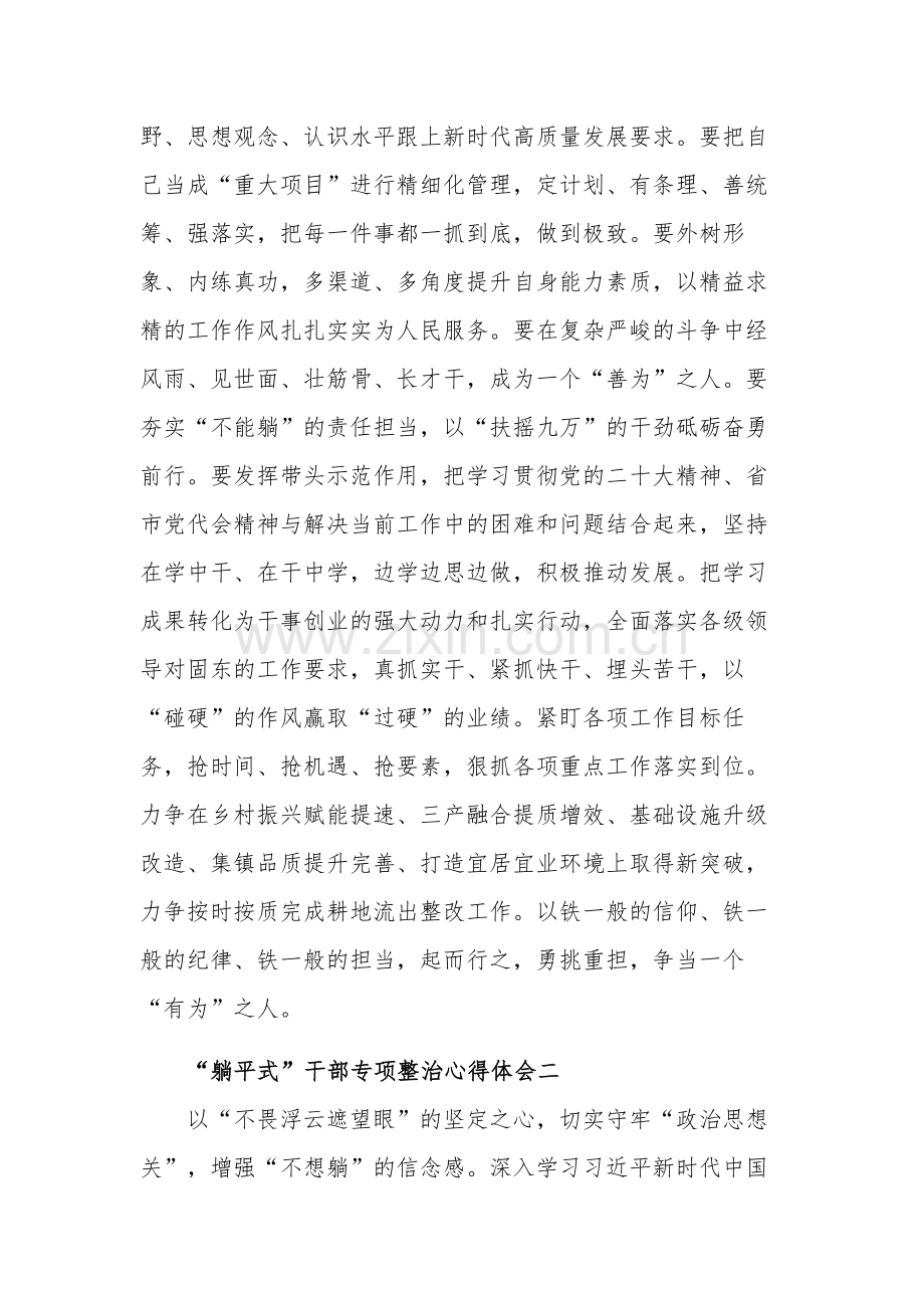 关于“躺平式”干部专项整治心得体会汇篇范.docx_第2页