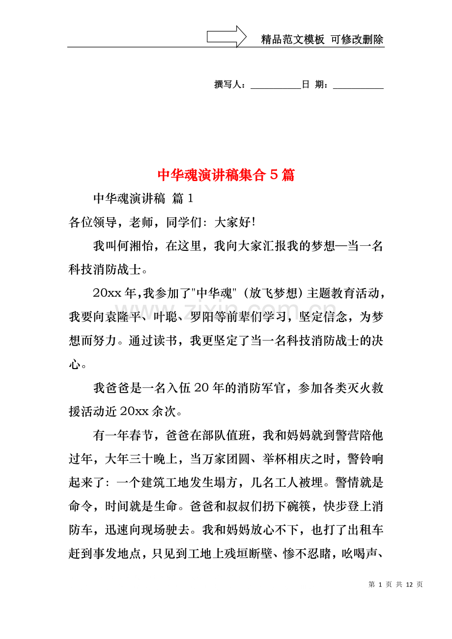 中华魂演讲稿集合5篇1.docx_第1页