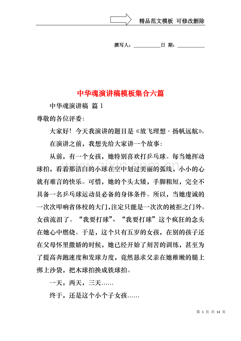 中华魂演讲稿模板集合六篇.docx_第1页