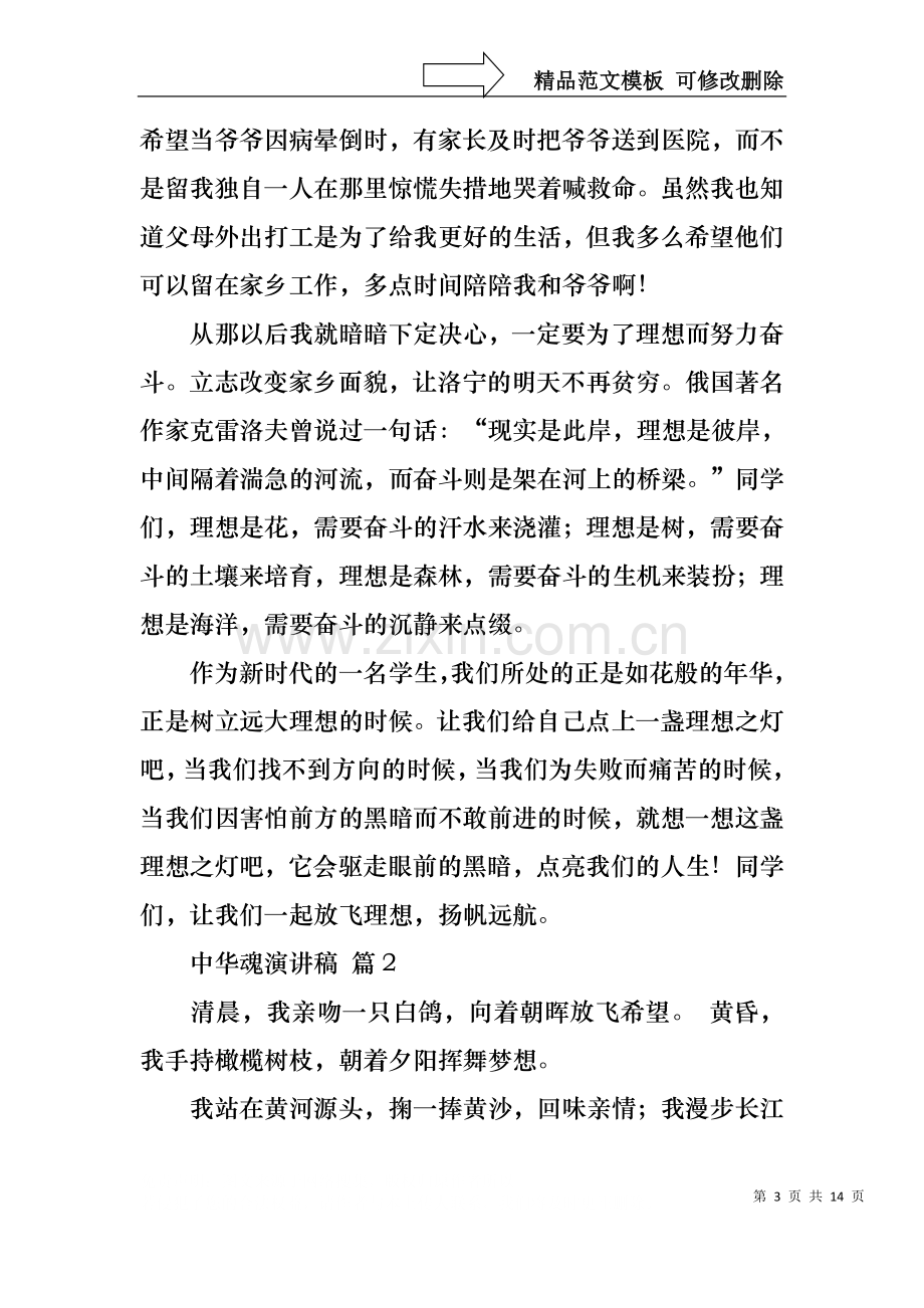 中华魂演讲稿模板集合六篇.docx_第3页