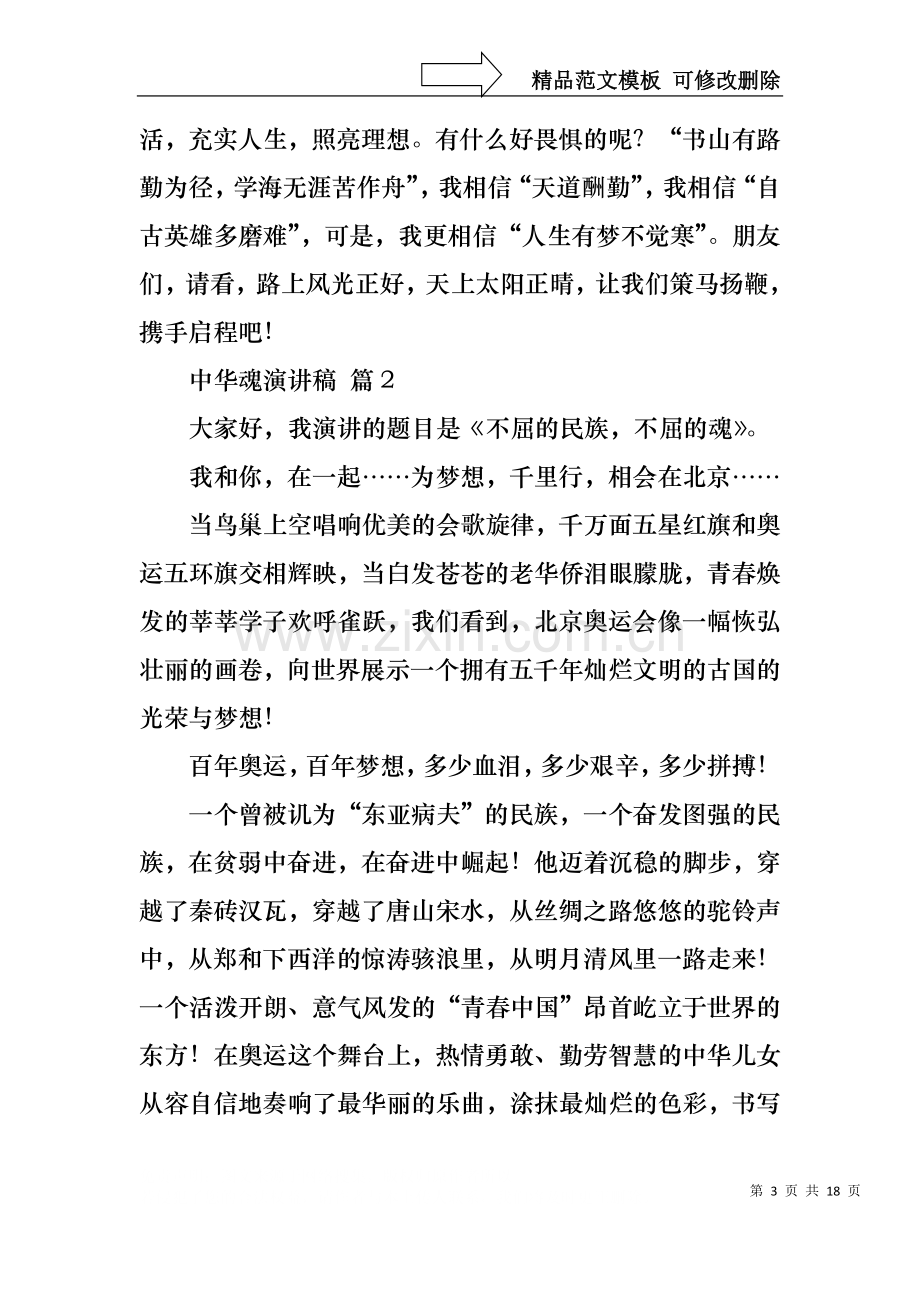 中华魂演讲稿范文汇编八篇1.docx_第3页