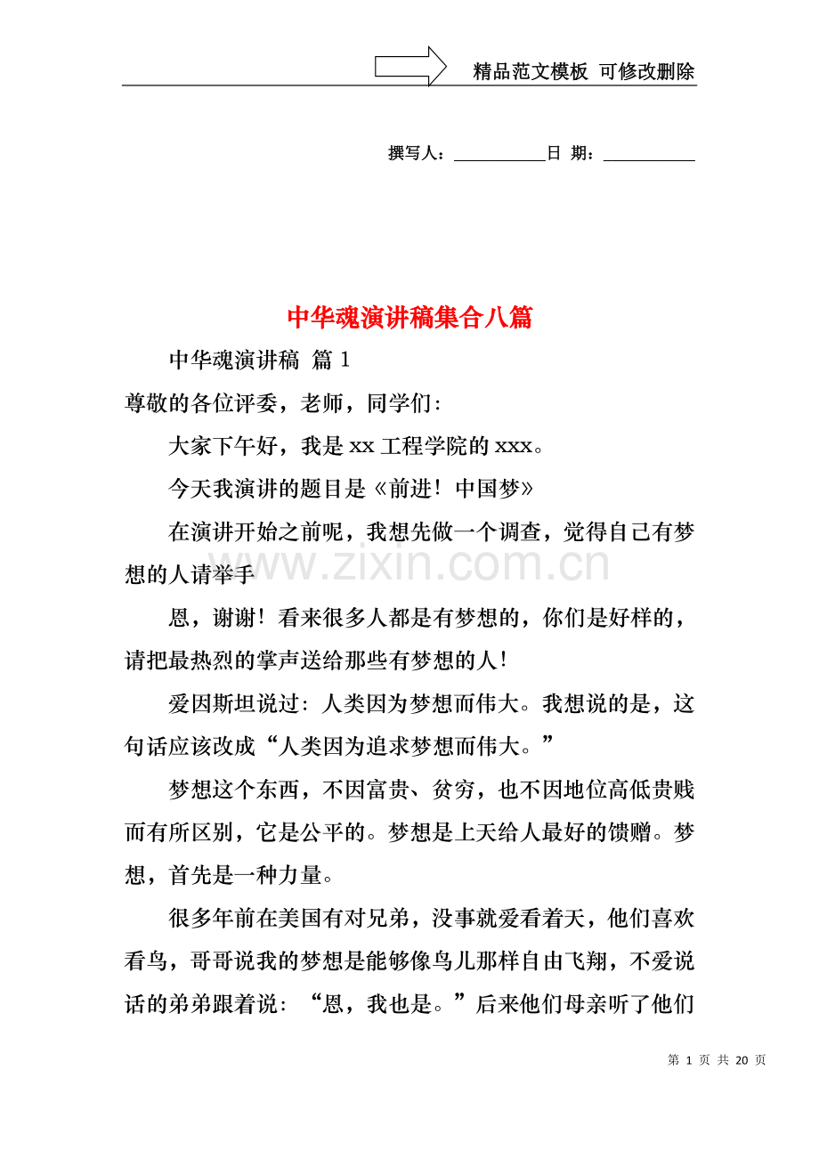 中华魂演讲稿集合八篇.docx_第1页