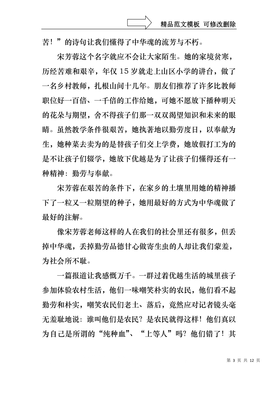 中华魂演讲稿范文锦集六篇.docx_第3页