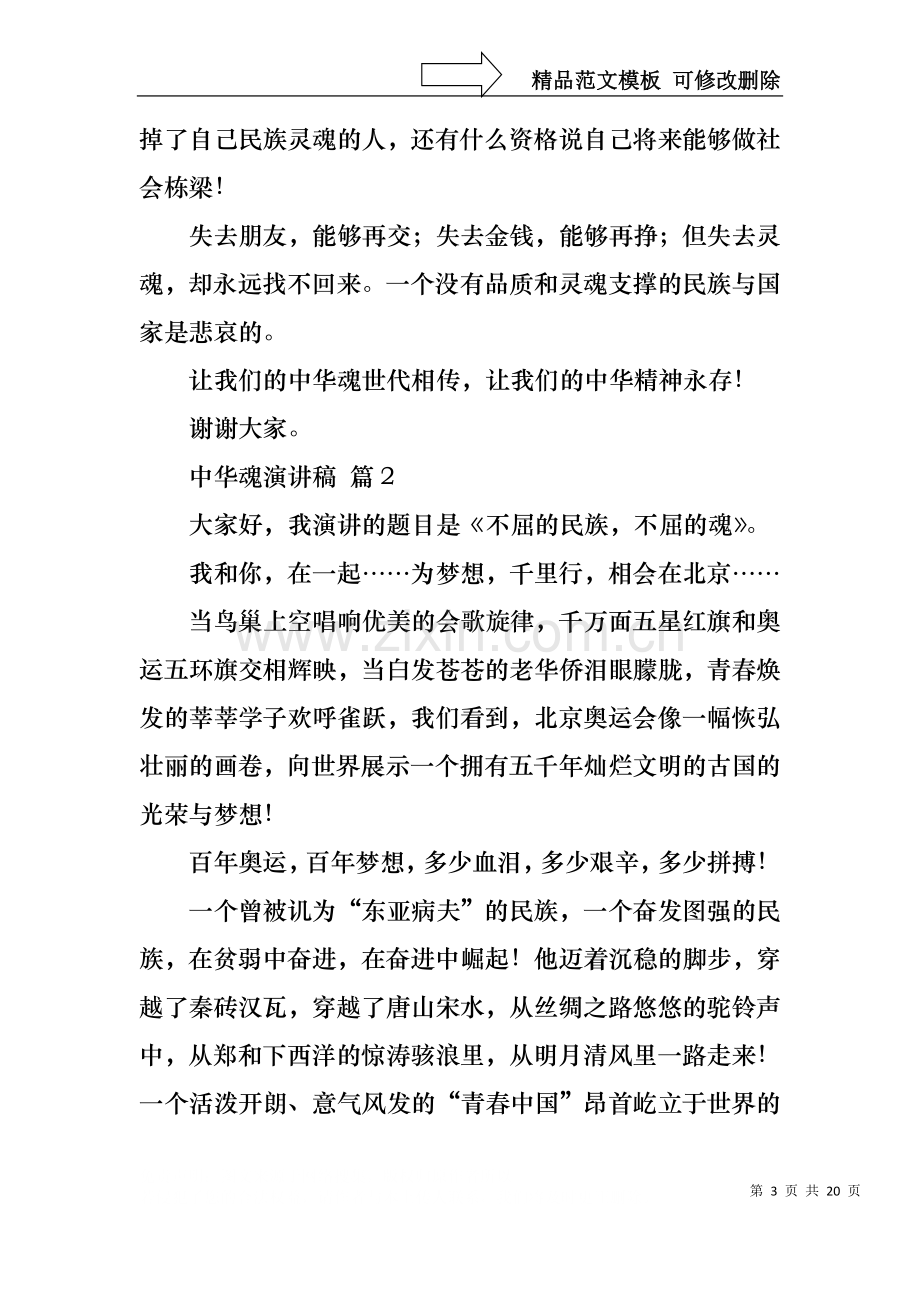 中华魂演讲稿模板锦集九篇1.docx_第3页