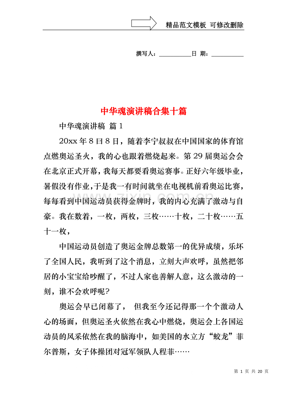 中华魂演讲稿合集十篇2.docx_第1页