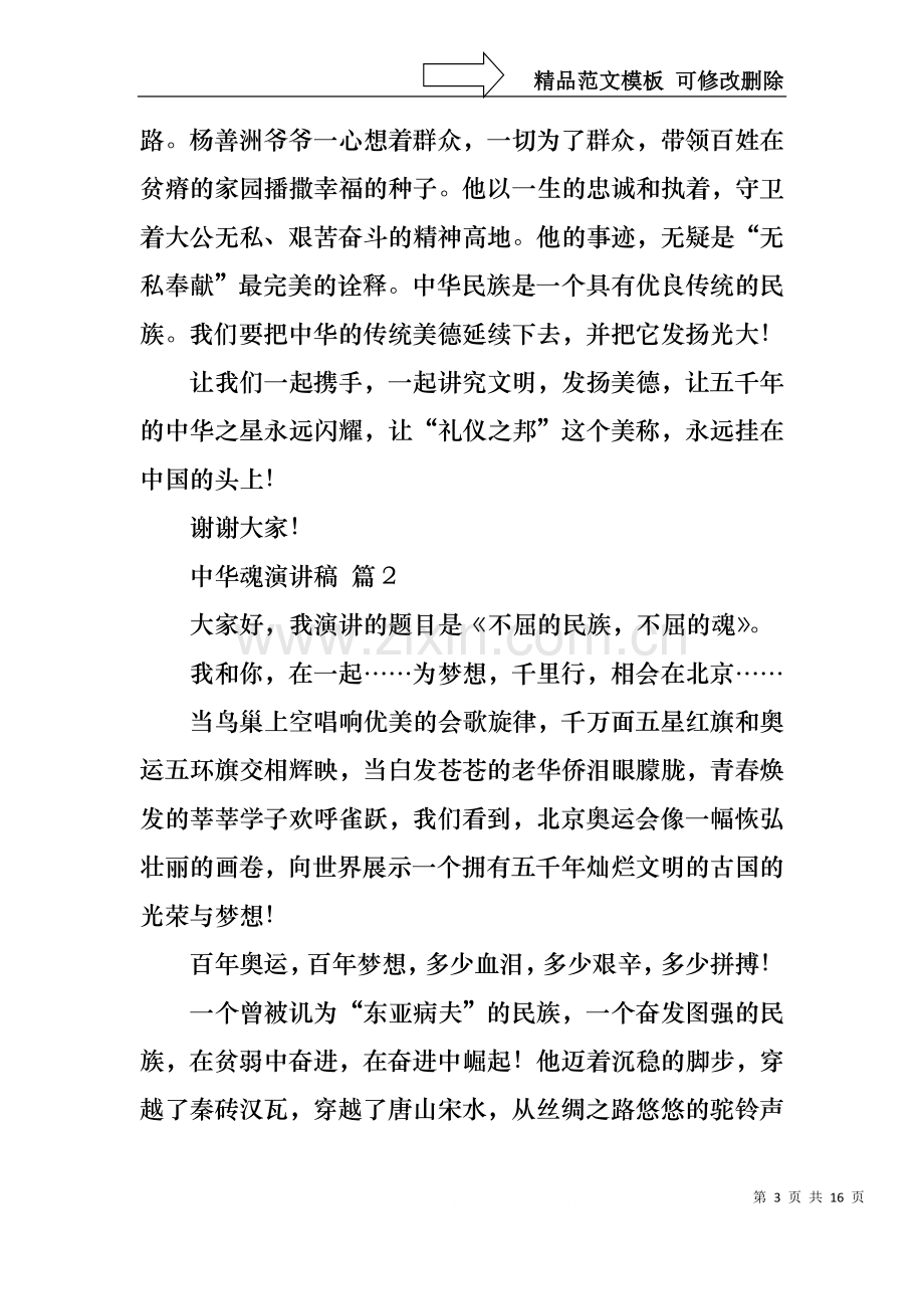 中华魂演讲稿范文合集七篇1.docx_第3页