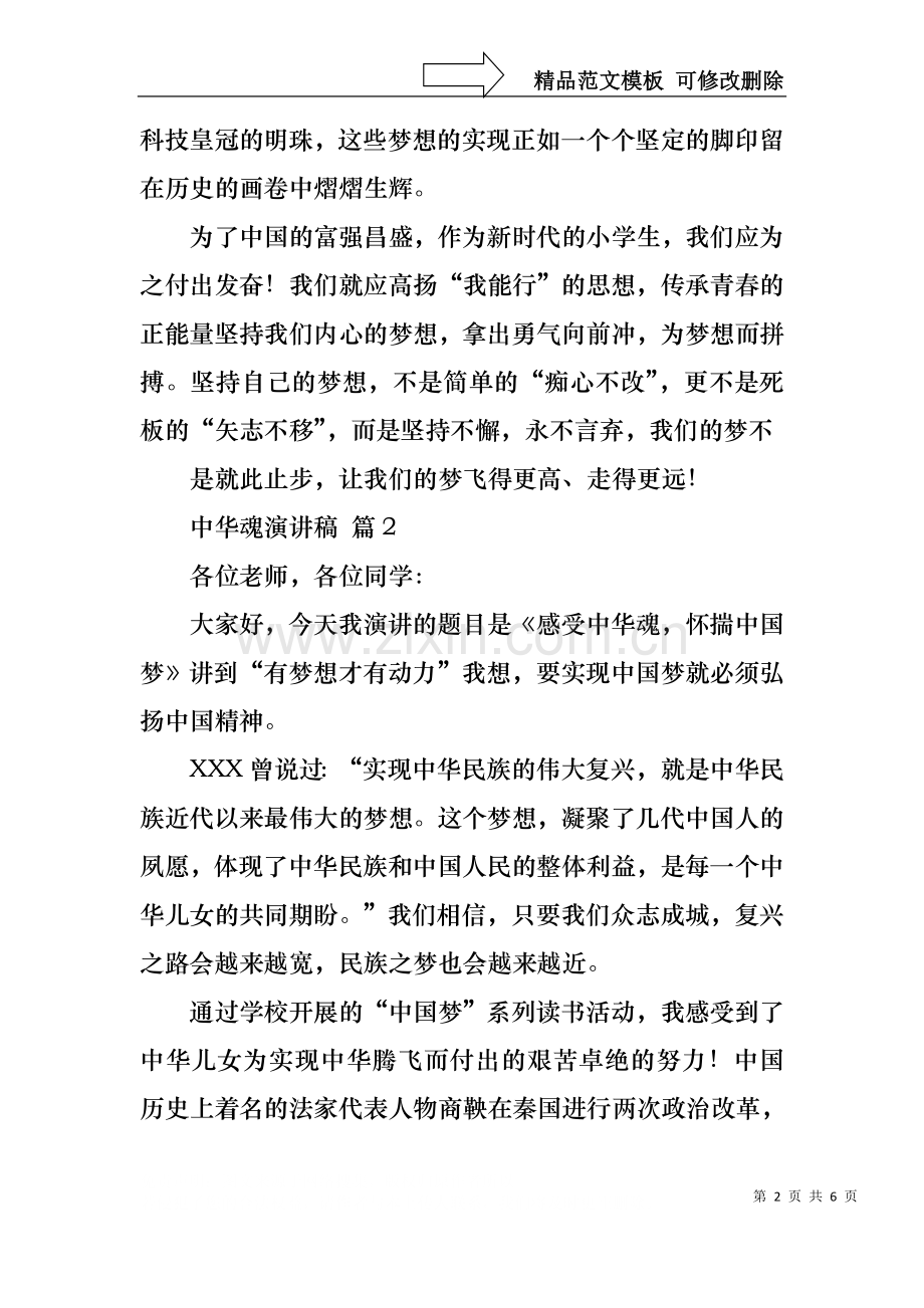 中华魂演讲稿三篇2.docx_第2页