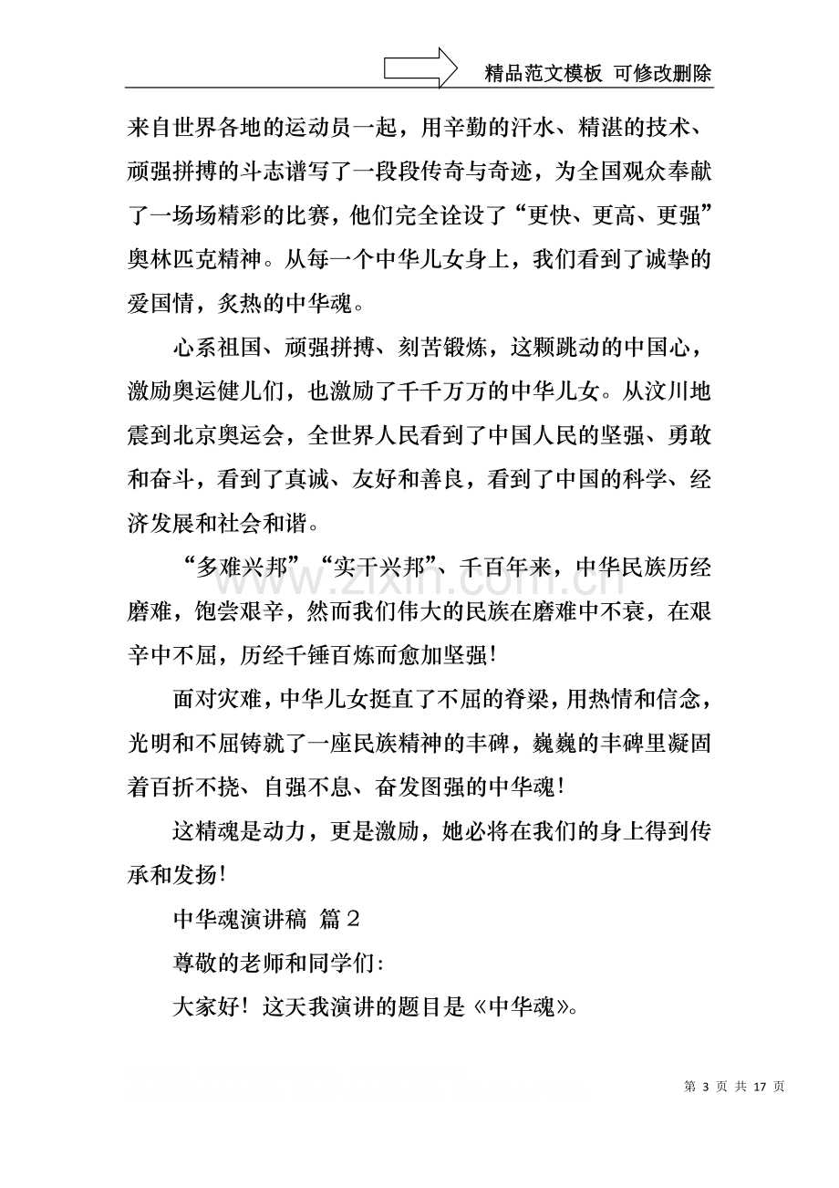 中华魂演讲稿范文汇编七篇1.docx_第3页