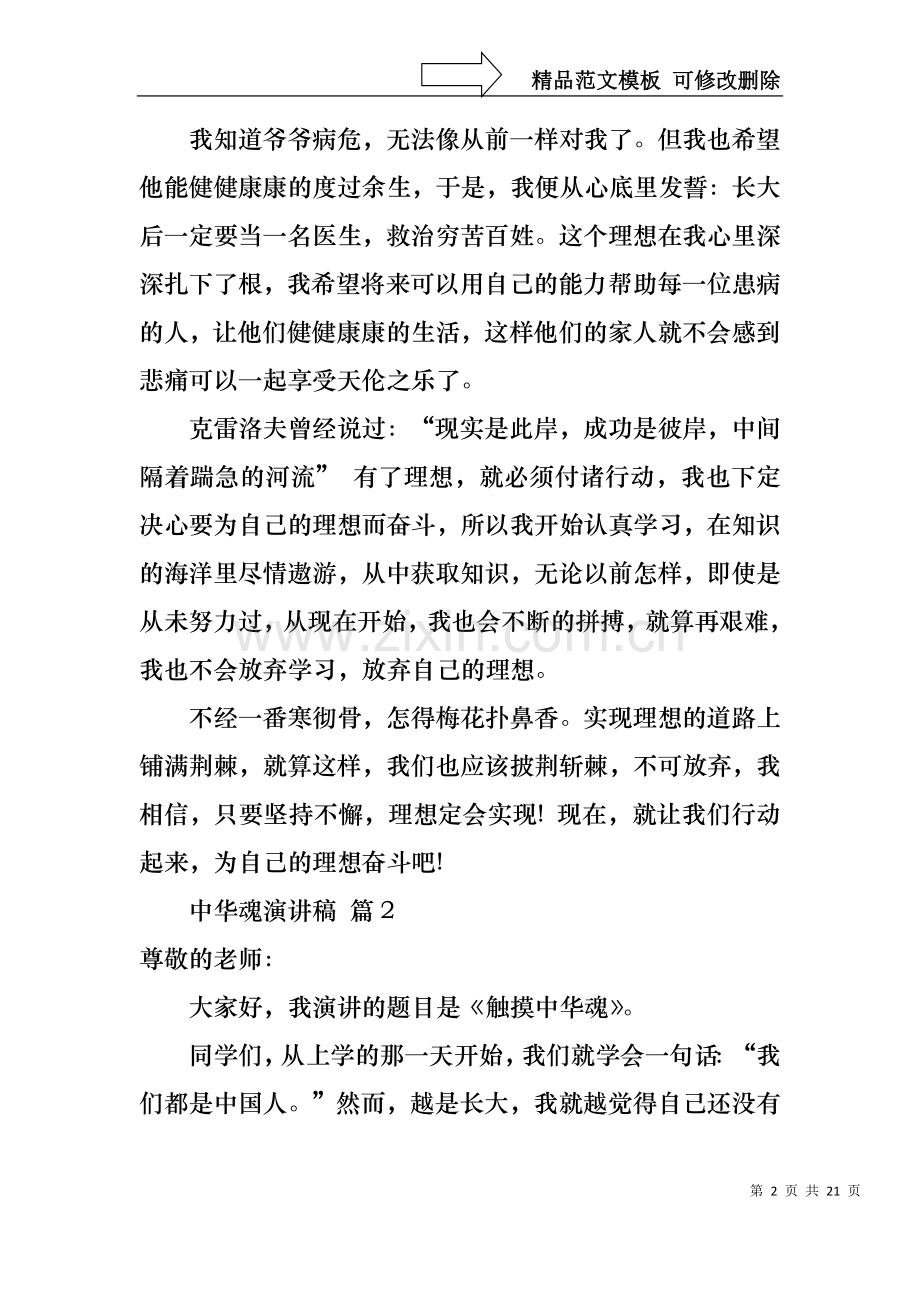 中华魂演讲稿汇总十篇1.docx_第2页