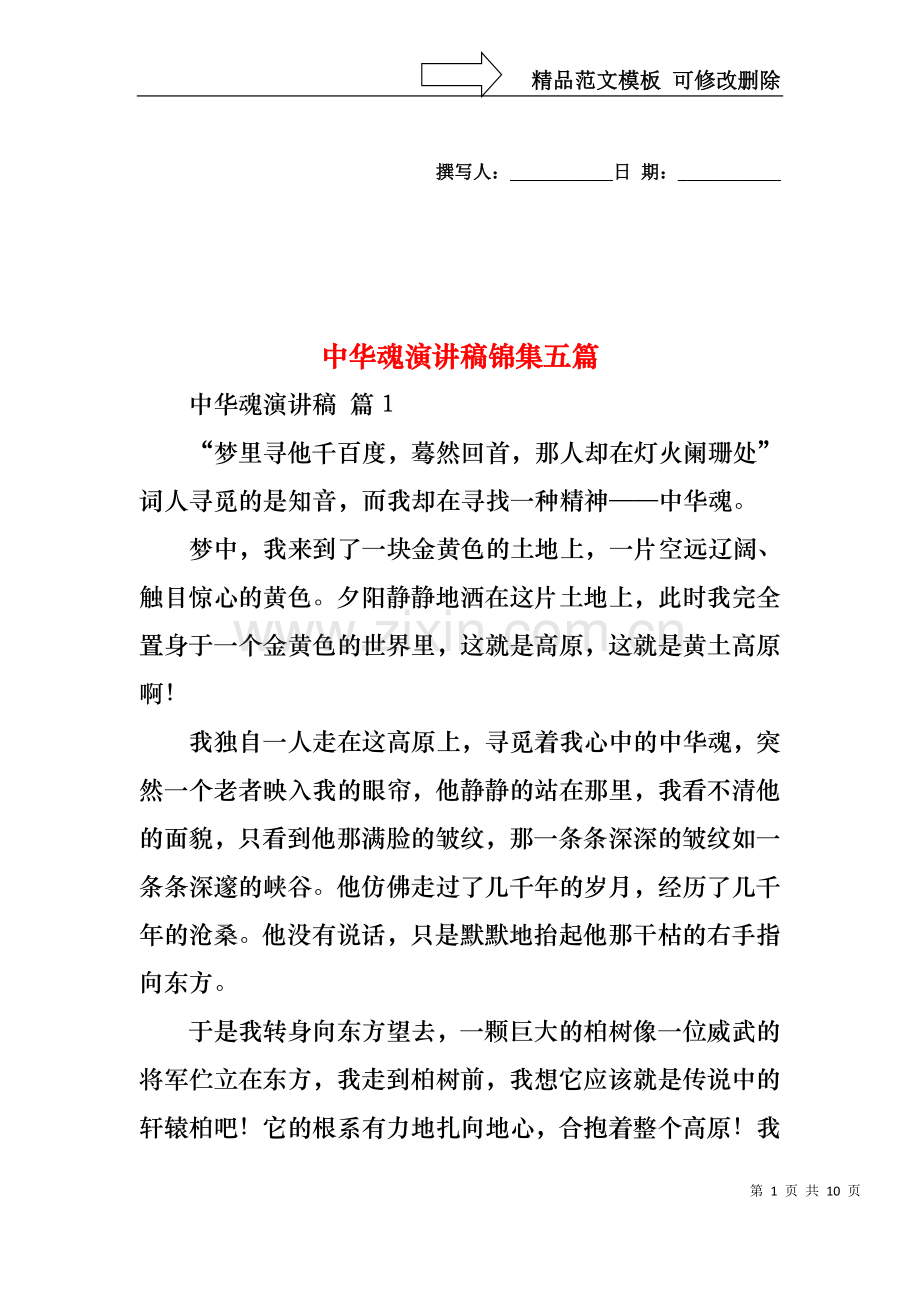 中华魂演讲稿锦集五篇1.docx_第1页