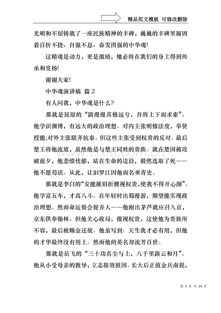 中华魂演讲稿范文集合十篇1.docx_第3页