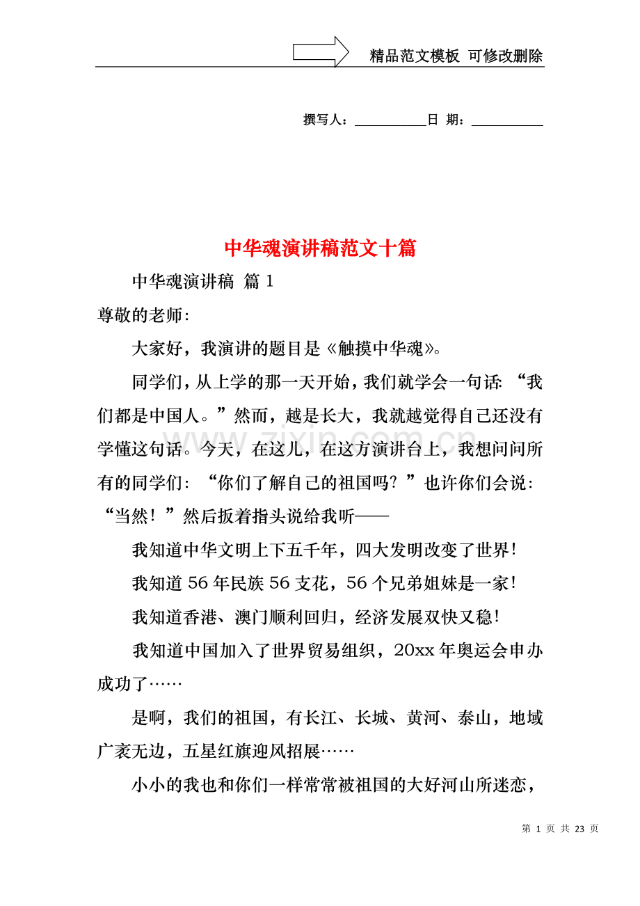 中华魂演讲稿范文十篇.docx_第1页