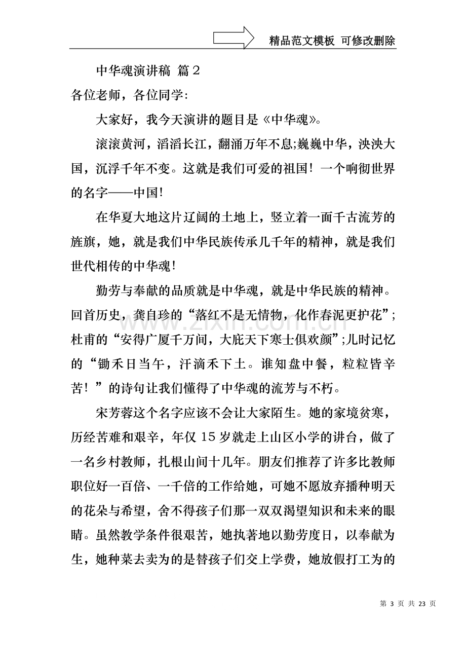 中华魂演讲稿范文十篇.docx_第3页