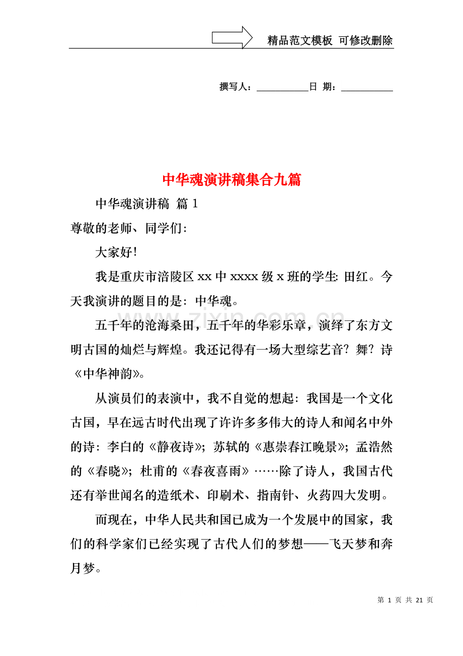 中华魂演讲稿集合九篇.docx_第1页