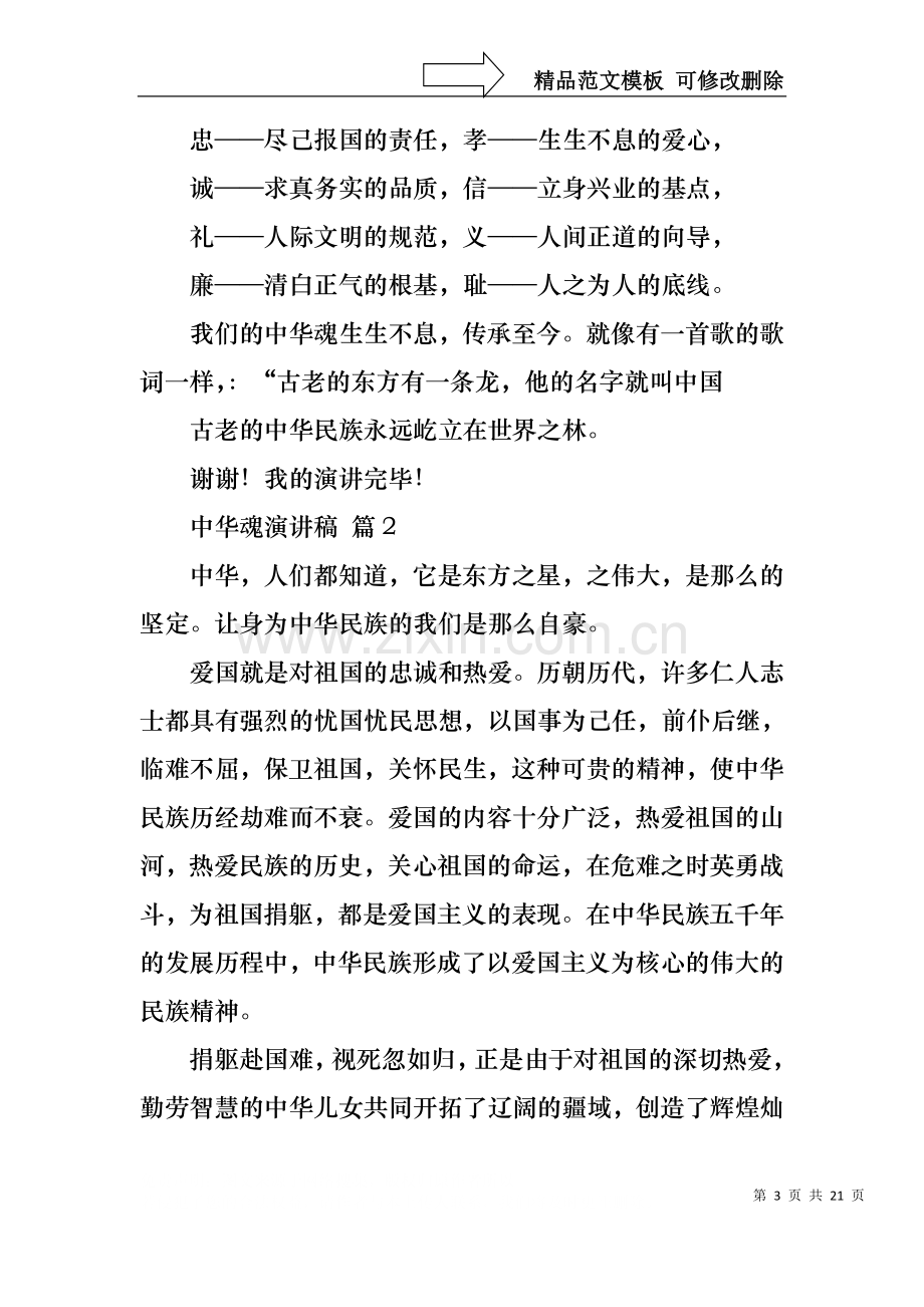 中华魂演讲稿集合九篇.docx_第3页